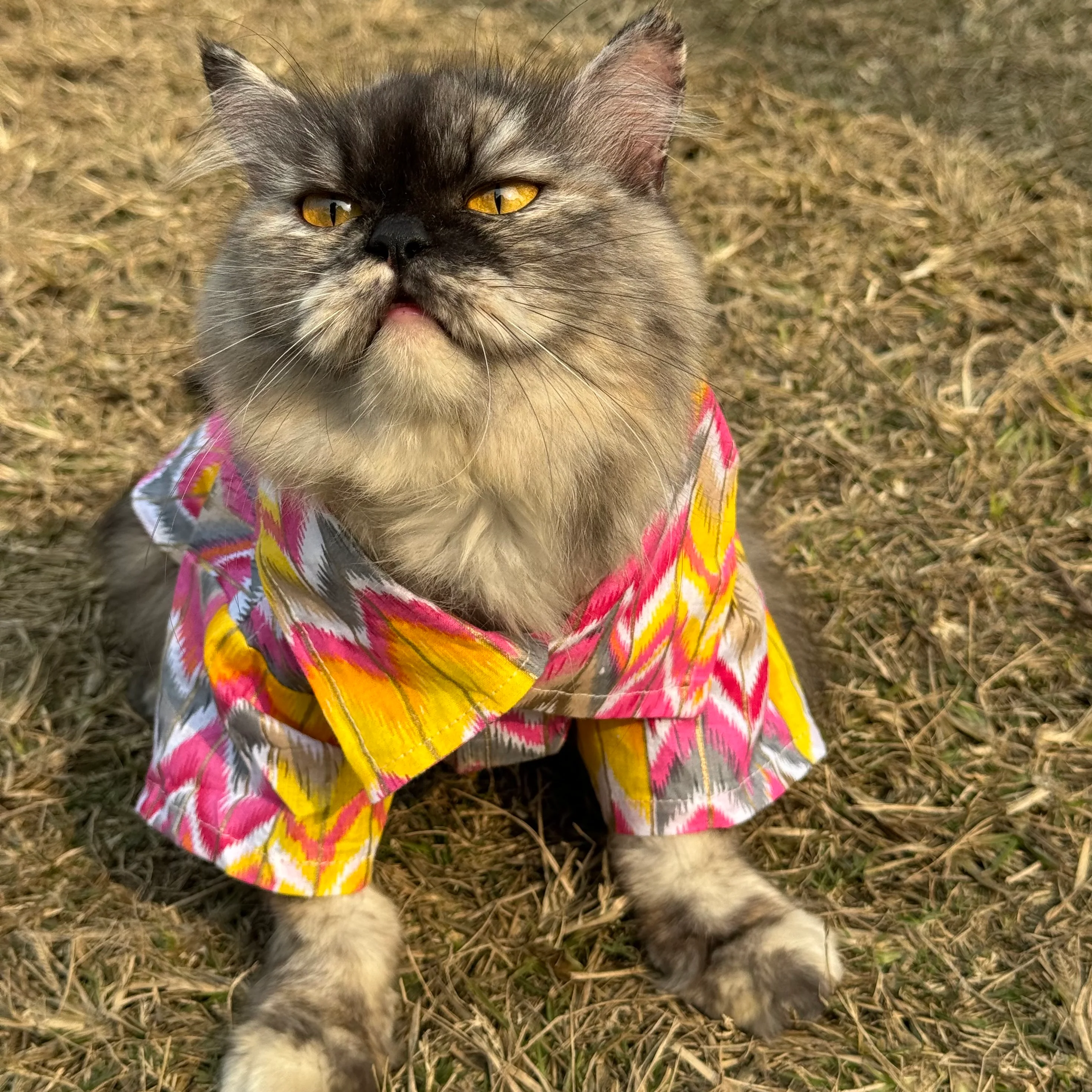 Pawgy Pets pink zig zag kurta for Cats - Image 3