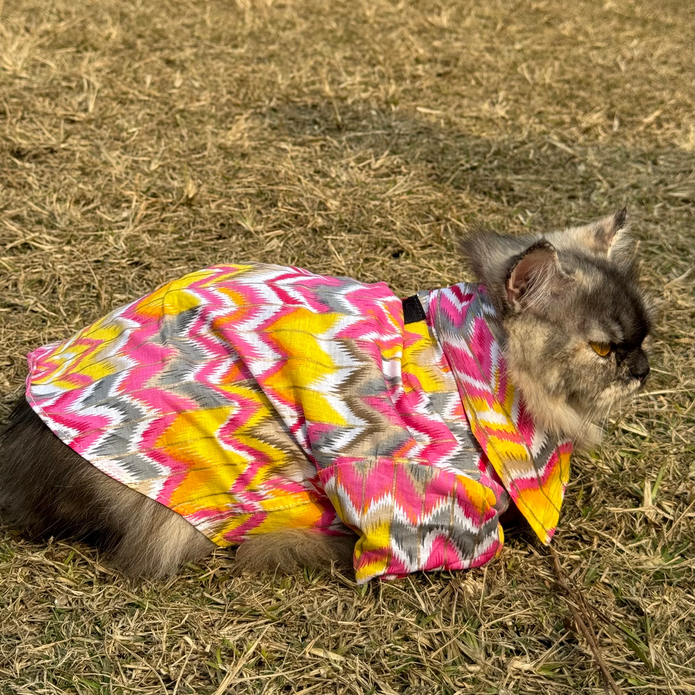 Pawgy Pets pink zig zag kurta for Cats - Image 4