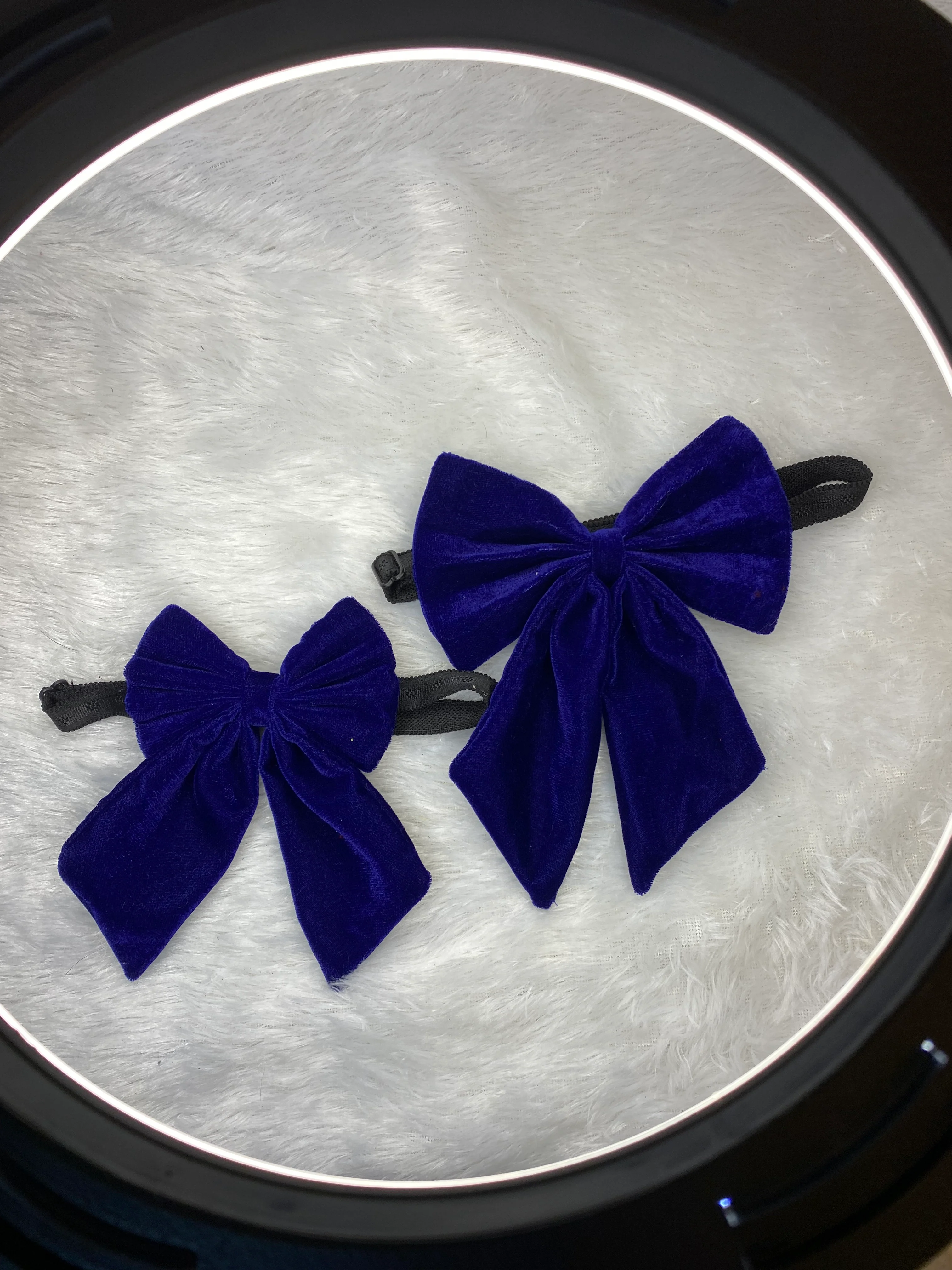Pawgy Pets Pigtail Bowtie: Royal blue for Dogs & Cats - Image 4