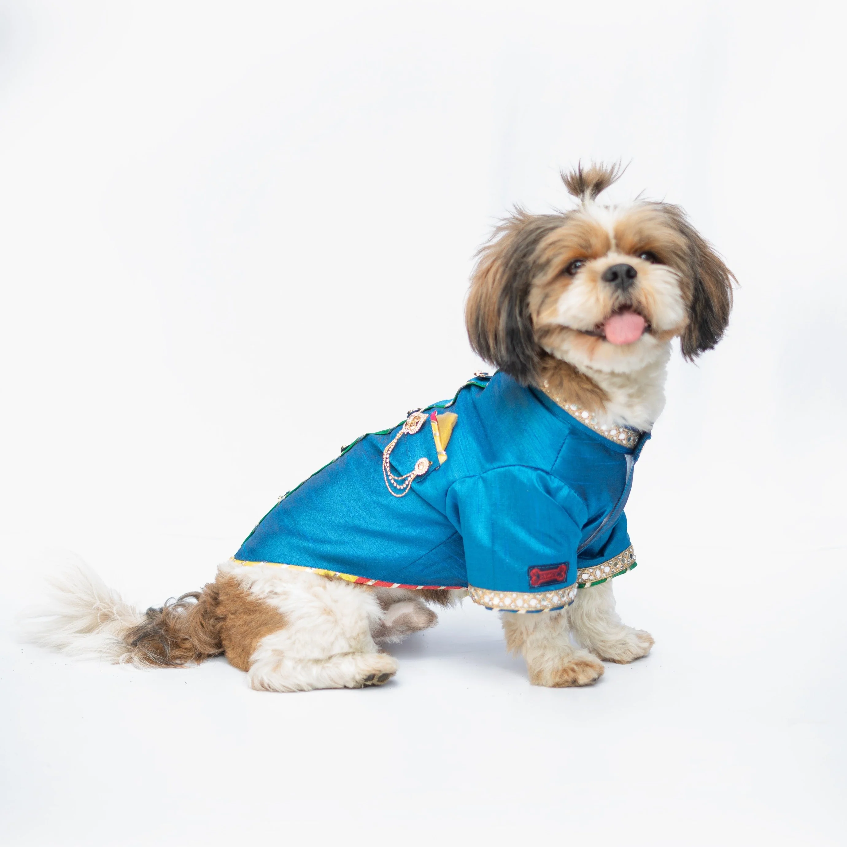 Pawgy Pets Raw Silk Sherwani: Rani for Dogs - Image 7