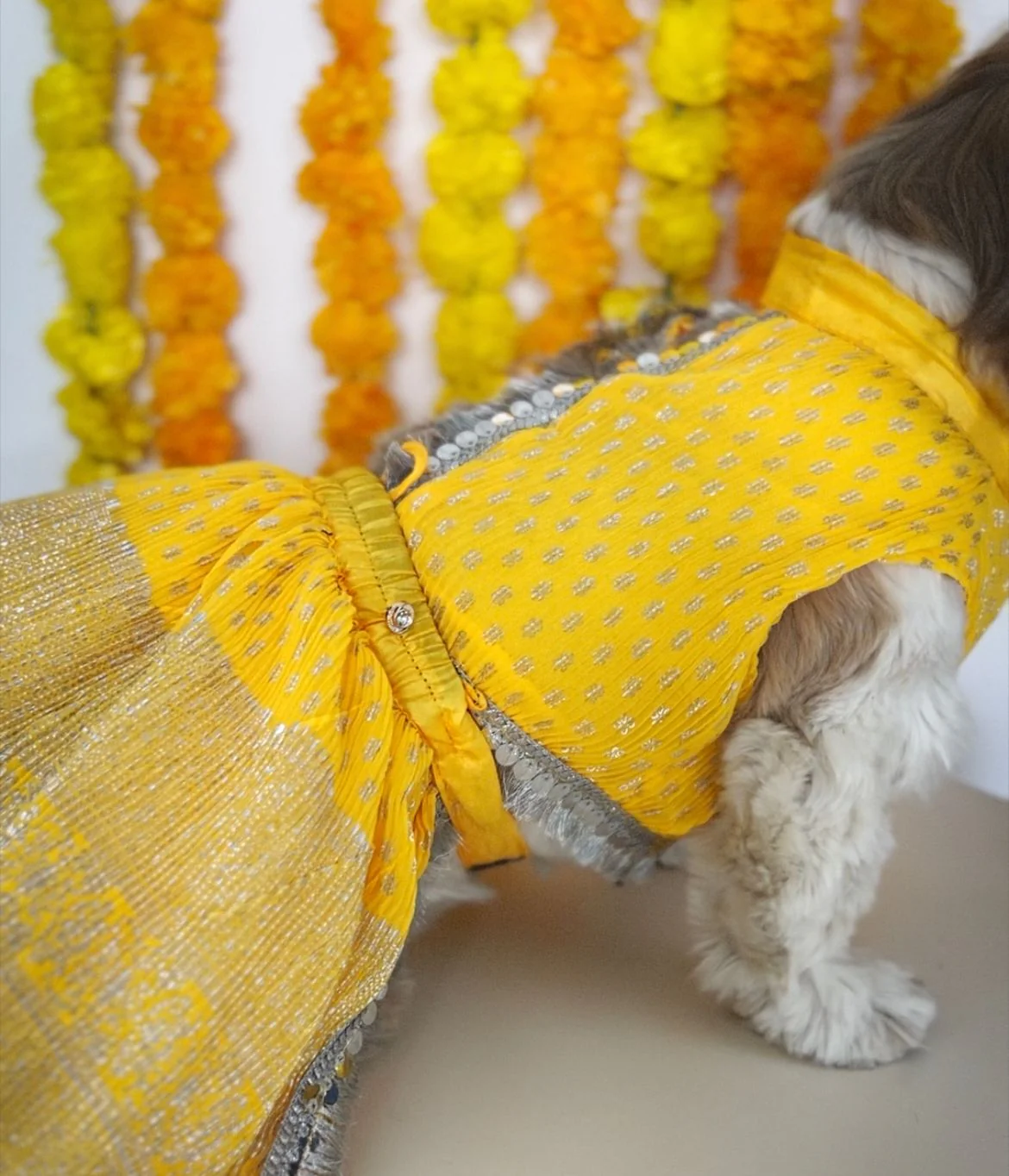 Pawgy Pets Pleaty Yellow Lehenga for Dogs & Cats - Image 4