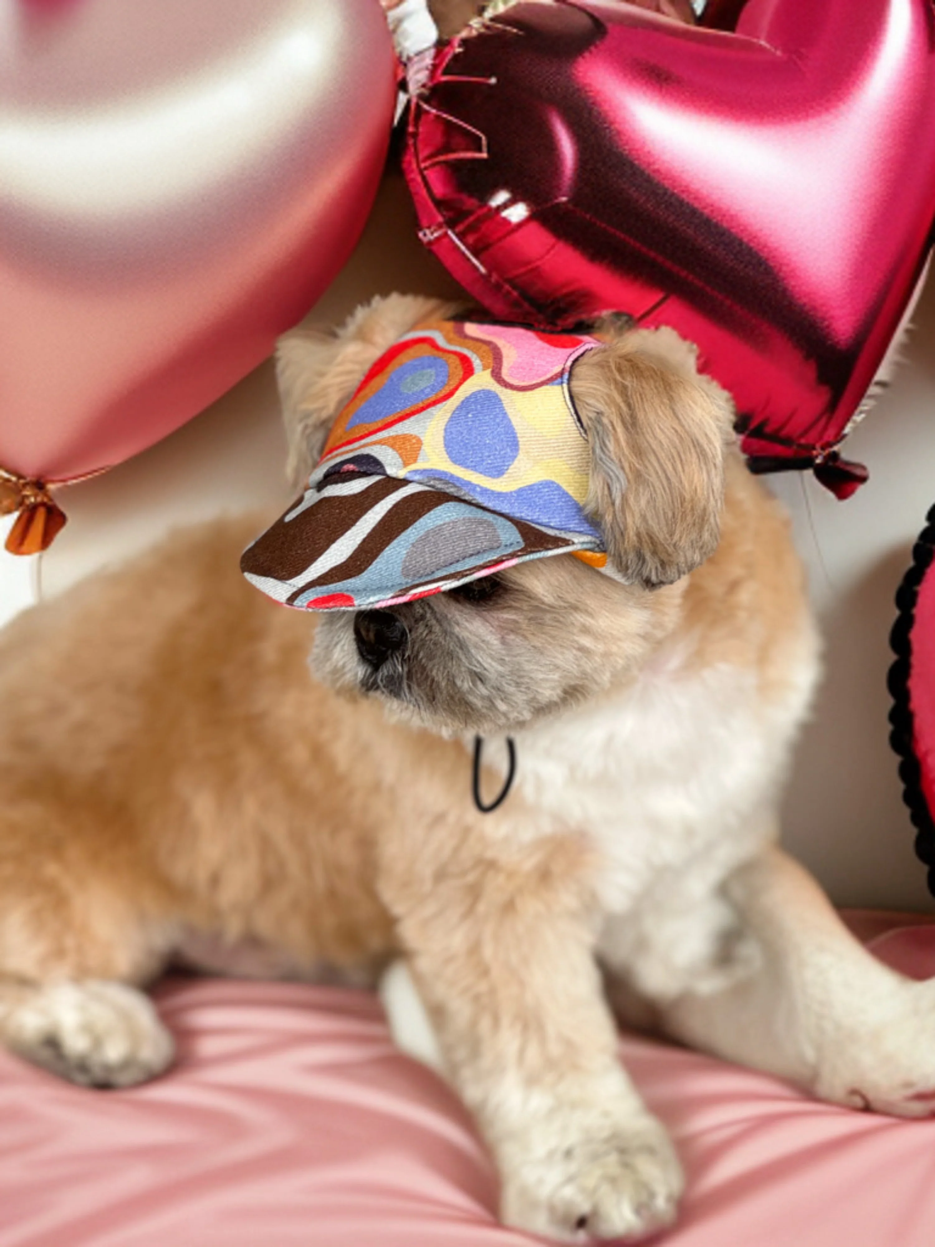 Pawgy Pets Dog Cap: Multi colour for Dog & Cats - Image 4