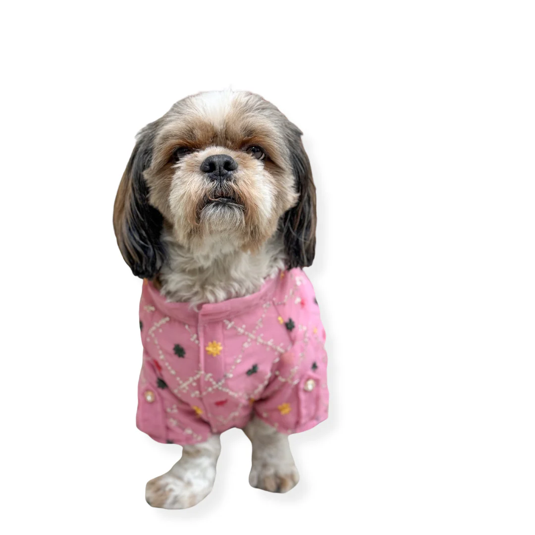 Pawgy Pets Festive Shirt Pink (New) for Dogs - Image 4