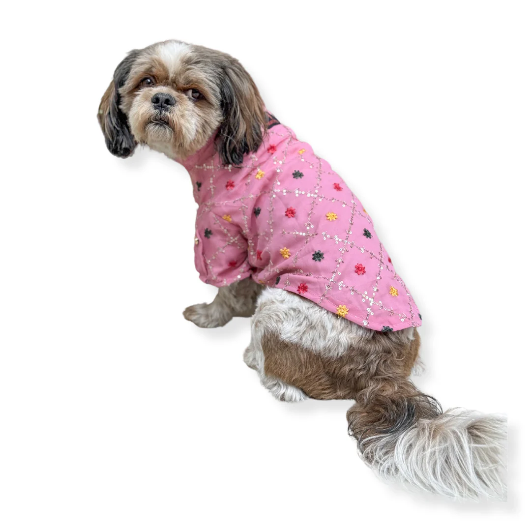 Pawgy Pets Festive Shirt Pink (New) for Dogs - Image 5