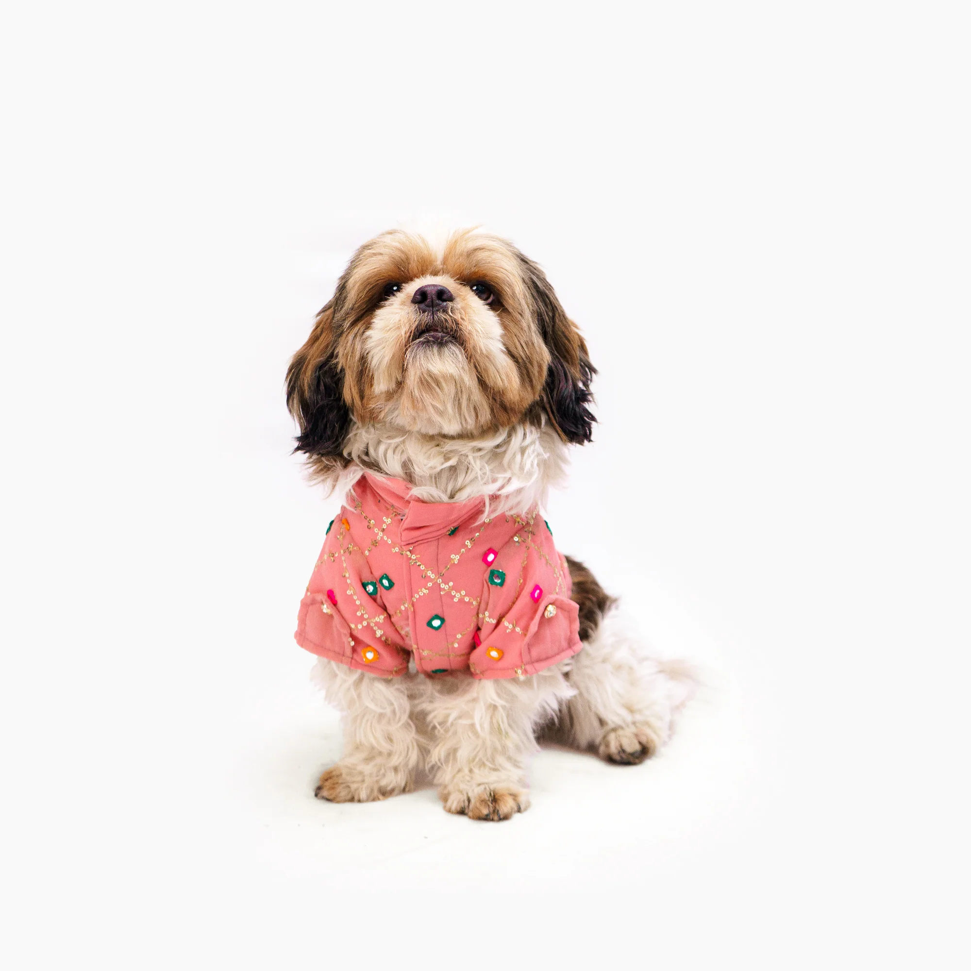 Pawgy Pets Festive Shirt Pink ol for Dogs - Image 3