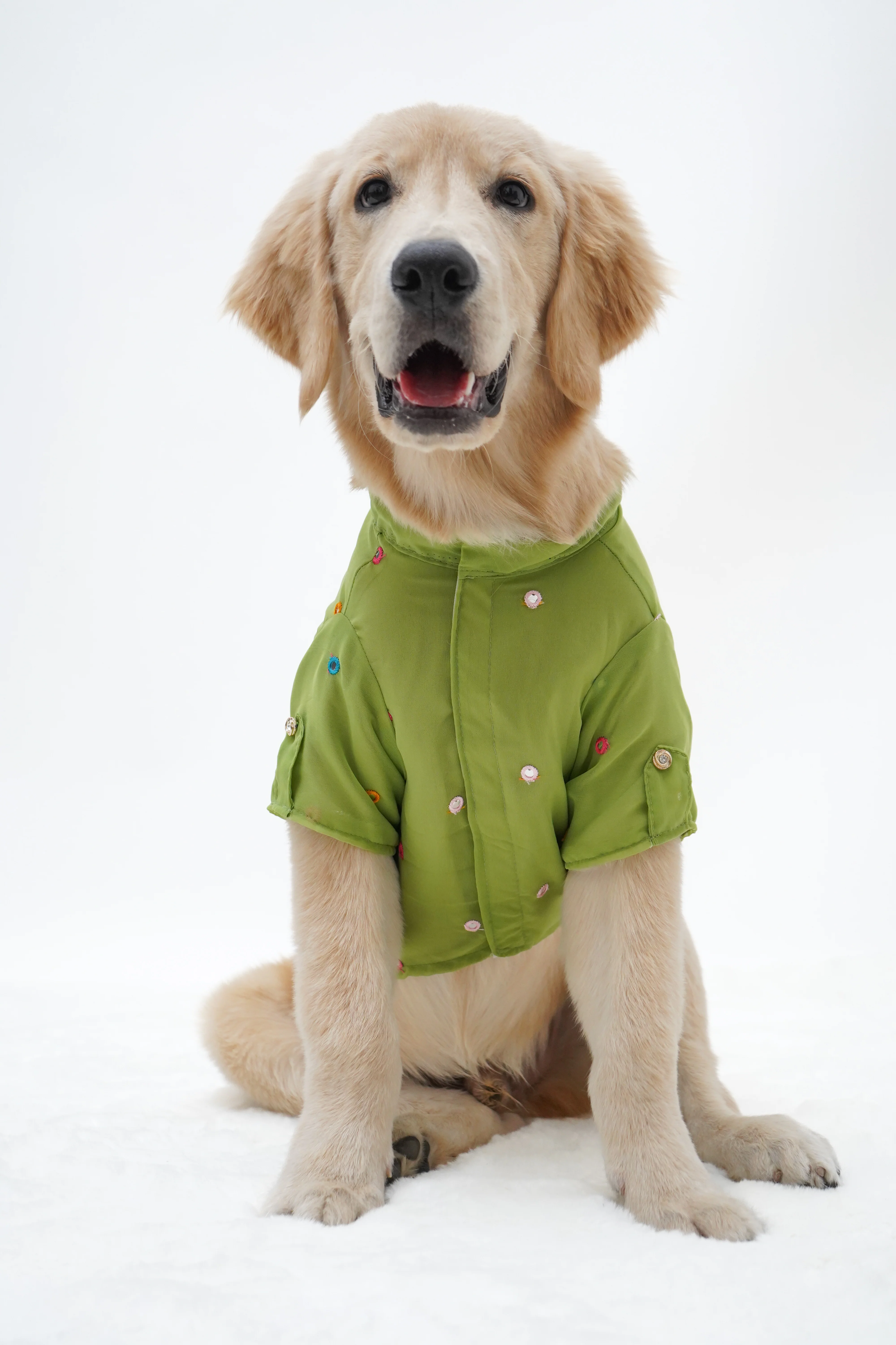 Pawgy Pets Festive Shirt Pista Green for Dogs - Image 4