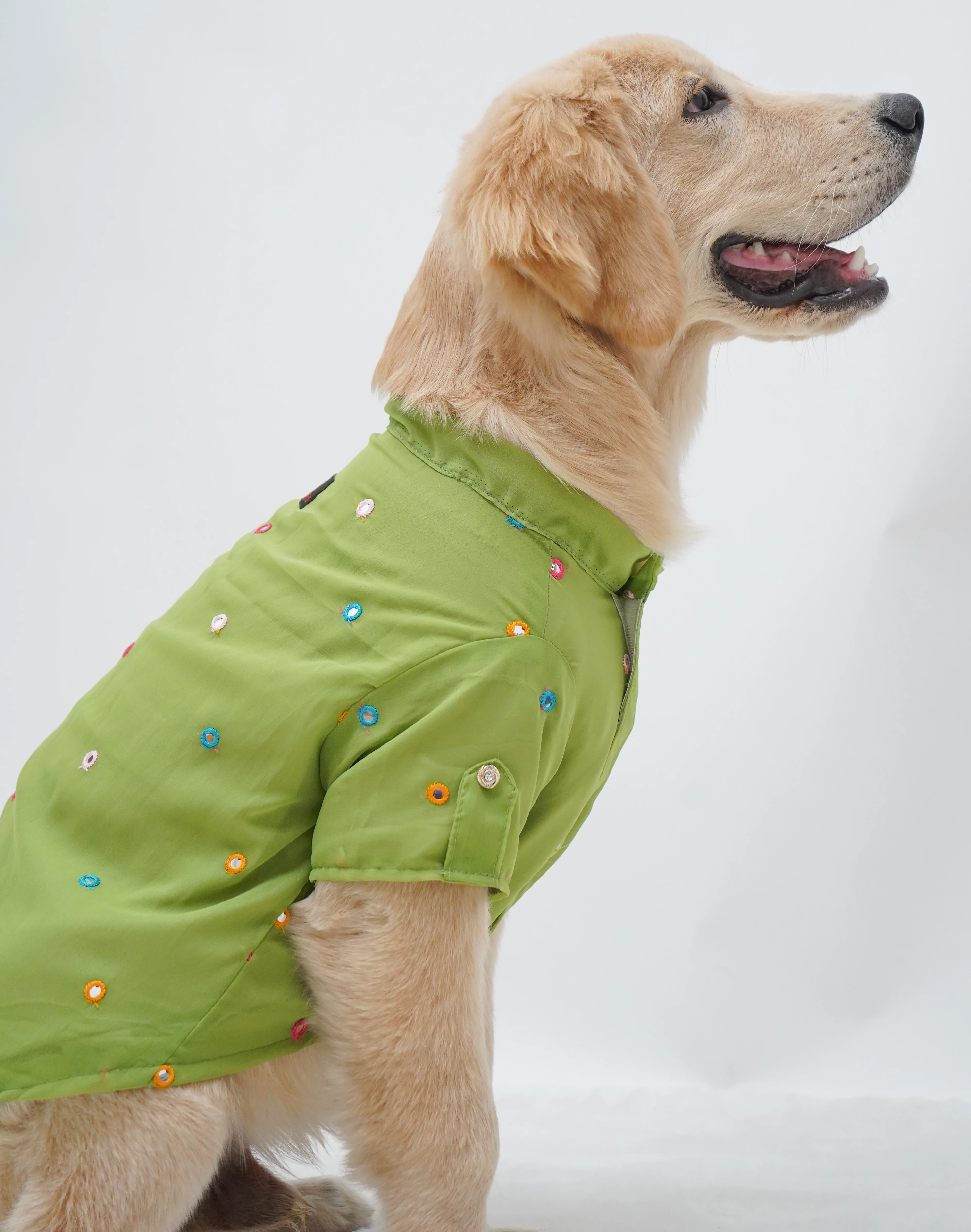 Pawgy Pets Festive Shirt Pista Green for Dogs - Image 5