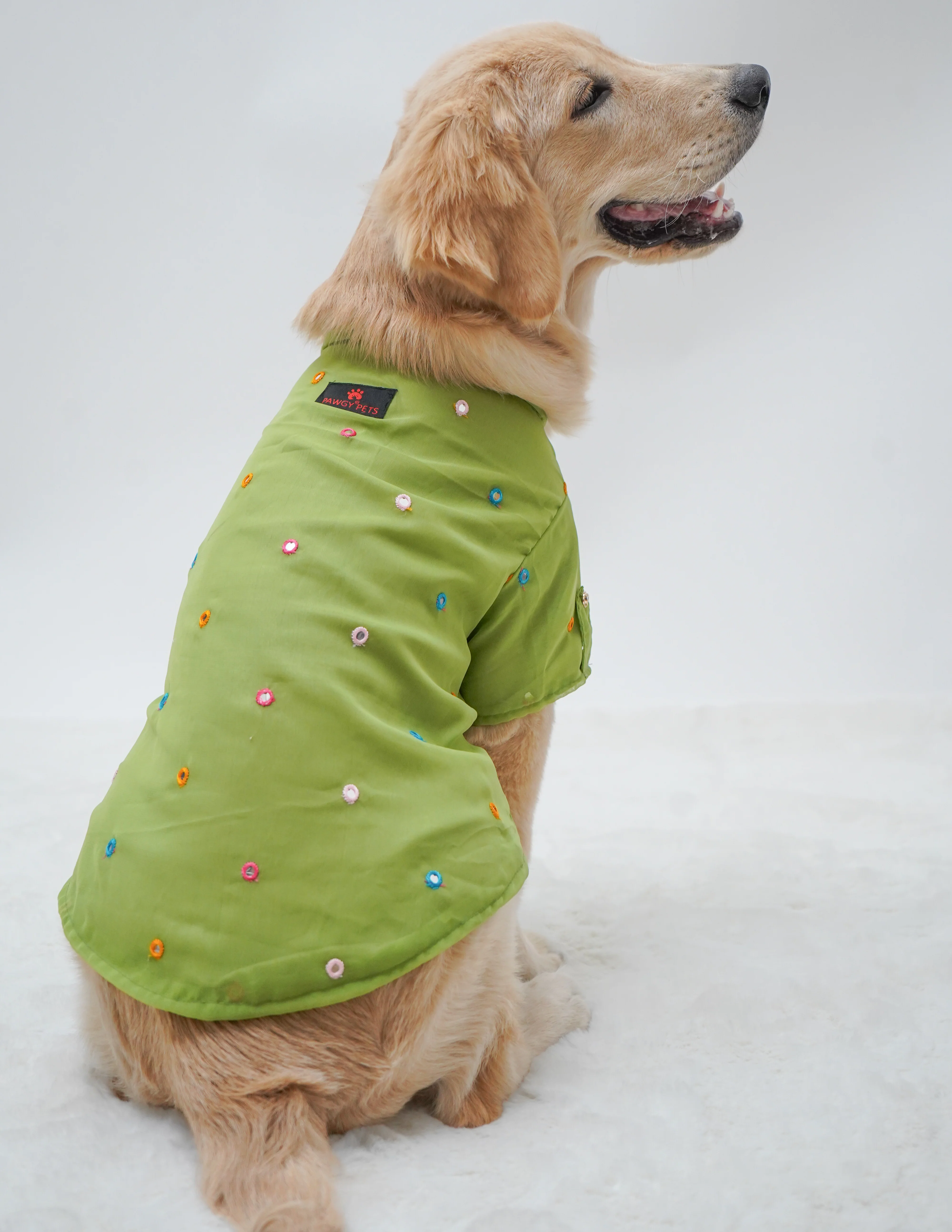 Pawgy Pets Festive Shirt Pista Green for Dogs - Image 6