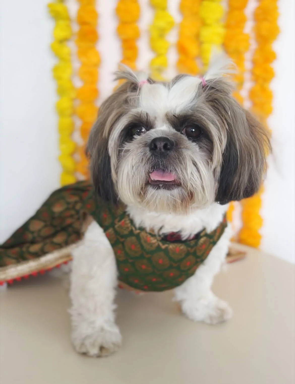 Pawgy Pets Green Brocade Lehenga for Dogs & Cats - Image 3