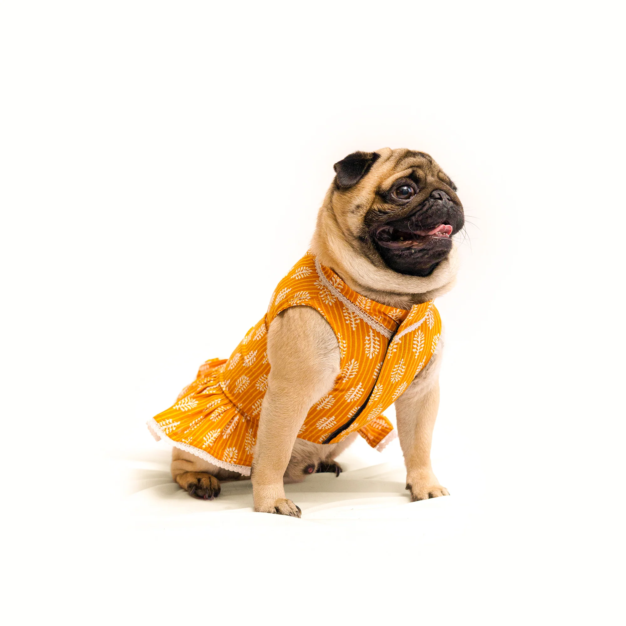 Sale like never before | Upto 50% off | No exchange