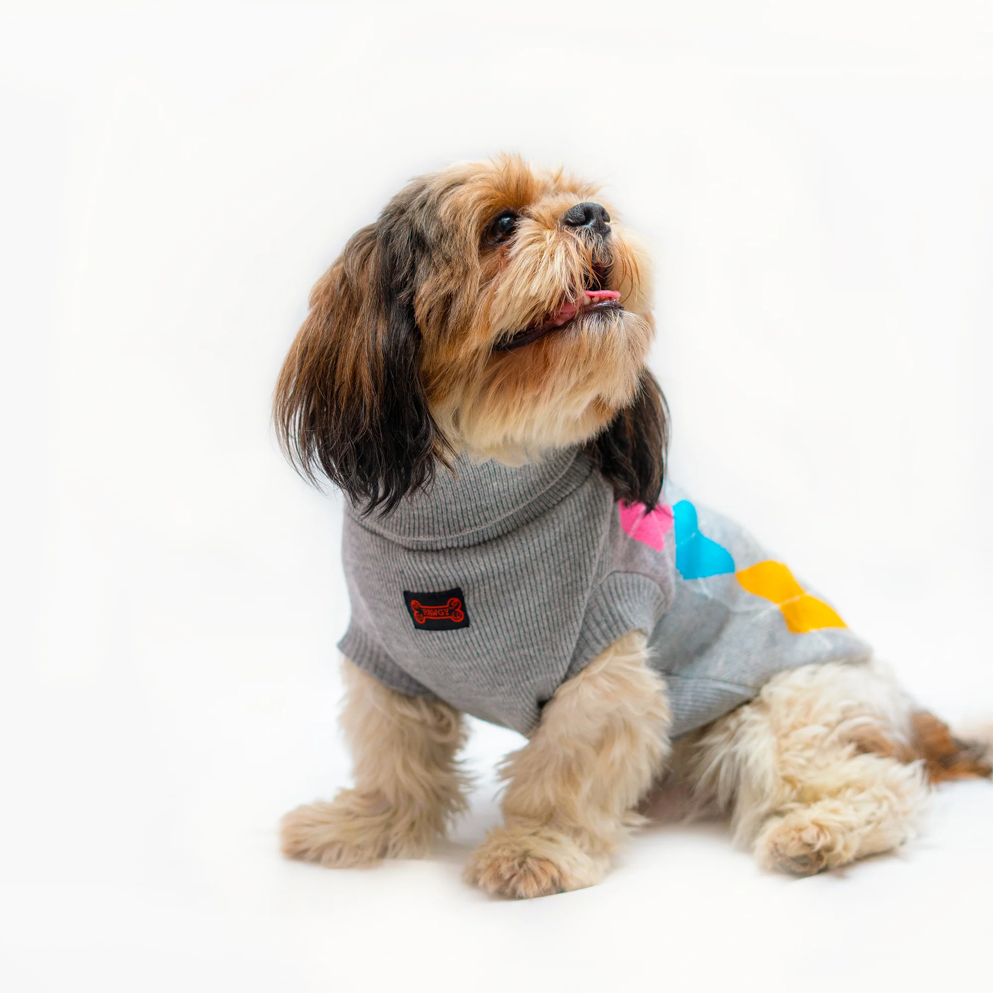 Pawgy Pets High Neck Sweater: Grey for dogs & cats - Image 3