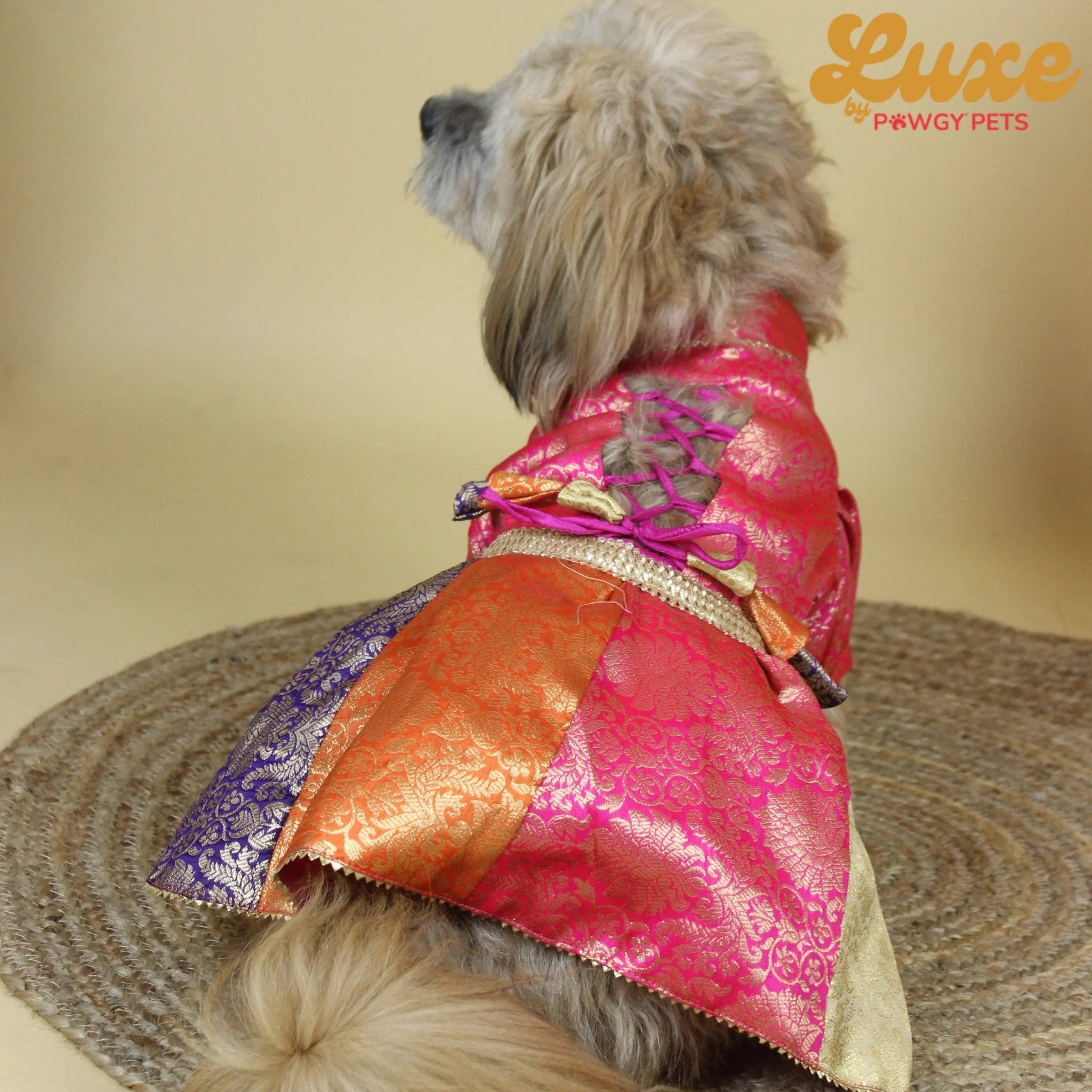 Luxe by Pawgy Pets Brocade Colour block lehenga dress - Image 3