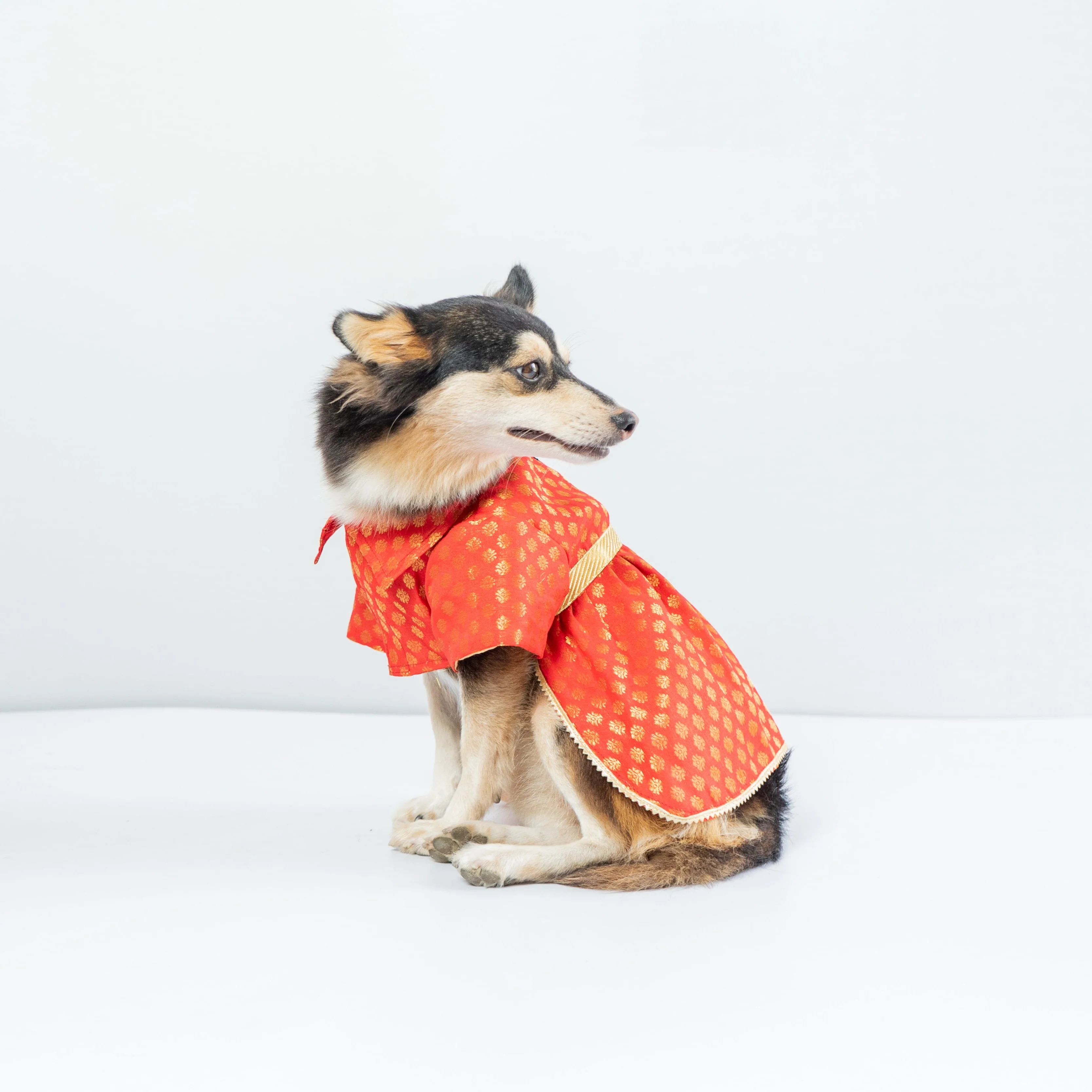 Pawgy Pets Occasion wear Dress Red for Dogs - Image 3