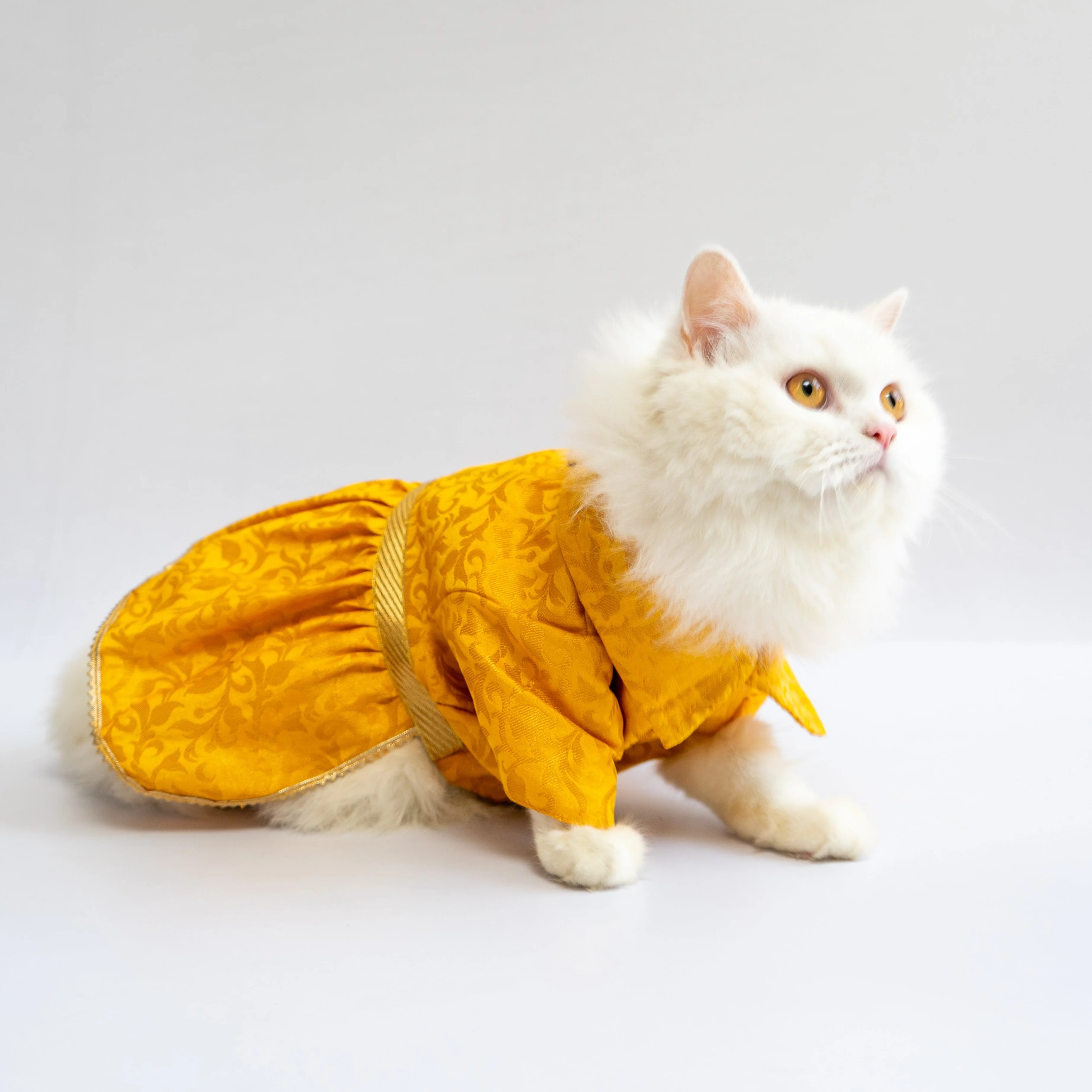 Pawgy Pets Occasion wear Dress Yellow for Dogs - Image 4