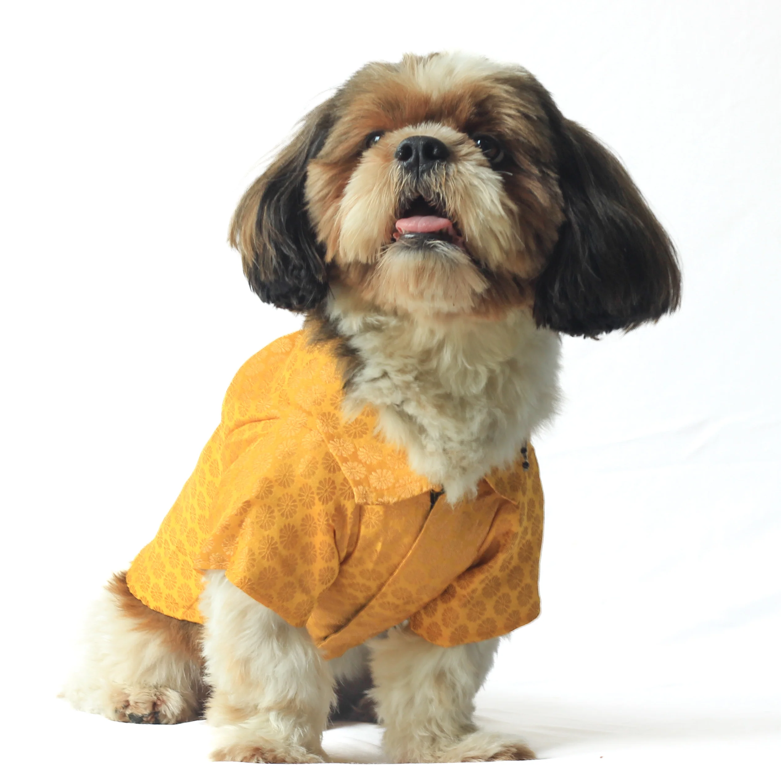 Pawgy Pets Occasion wear shirt Yellow for Dogs - Image 3