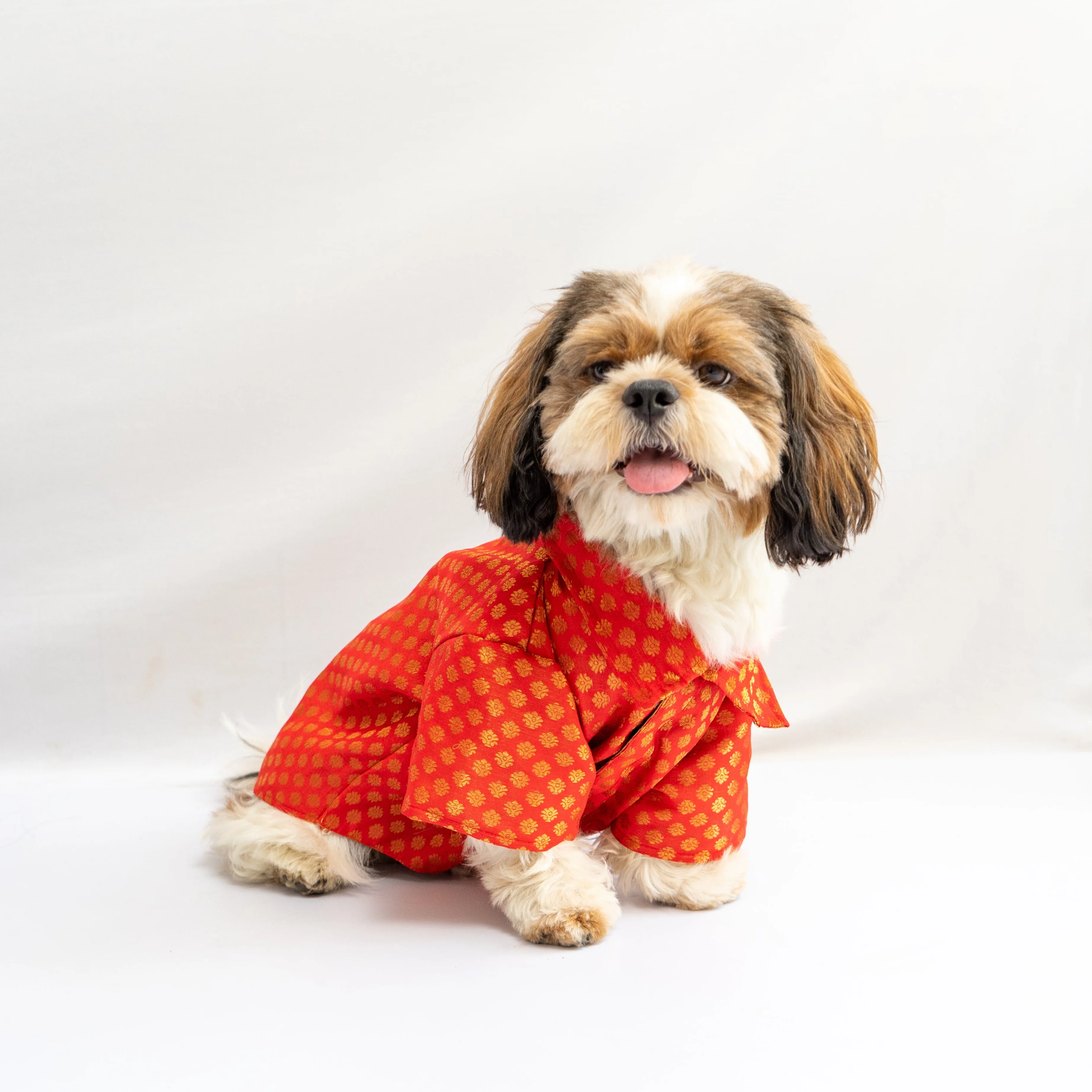 Pawgy Pets Occasion Wear Shirt: Red for Dogs - Image 3
