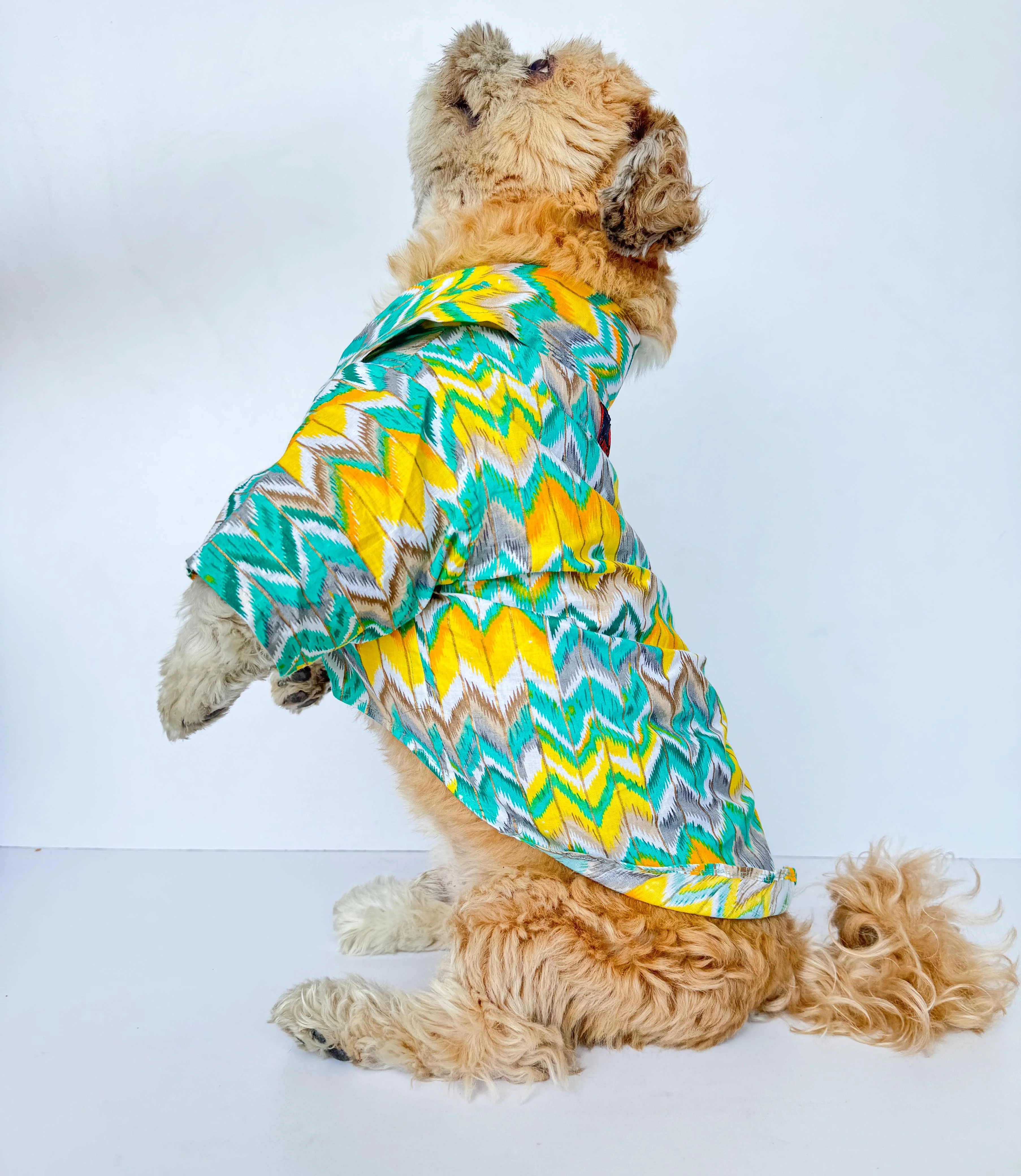 Pack of 2 - Dog Kurtas: Zig-Zag Green & Purple Lehriya - Image 4