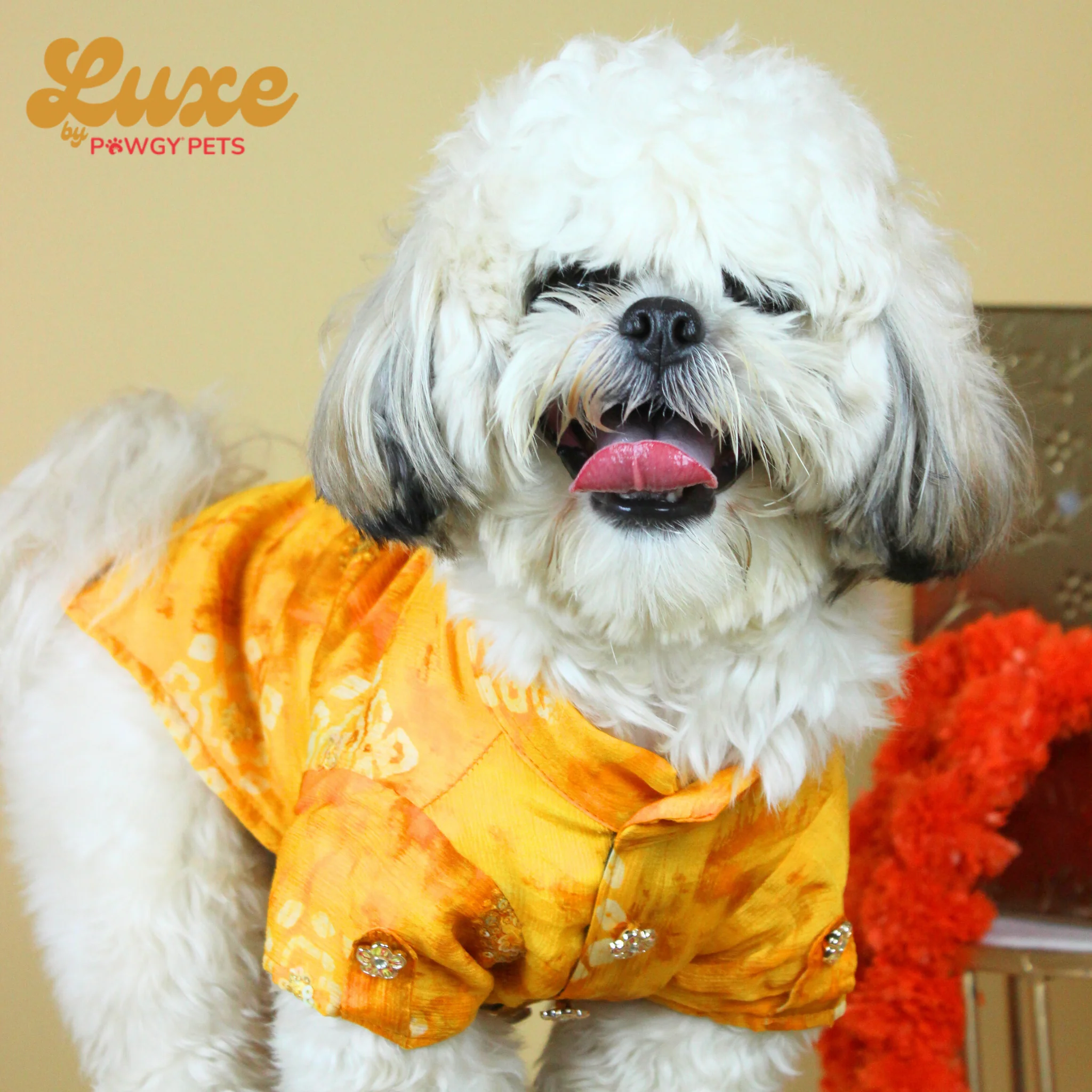 Luxe by Pawgy Pets Bandani kurta Yellow - Image 3