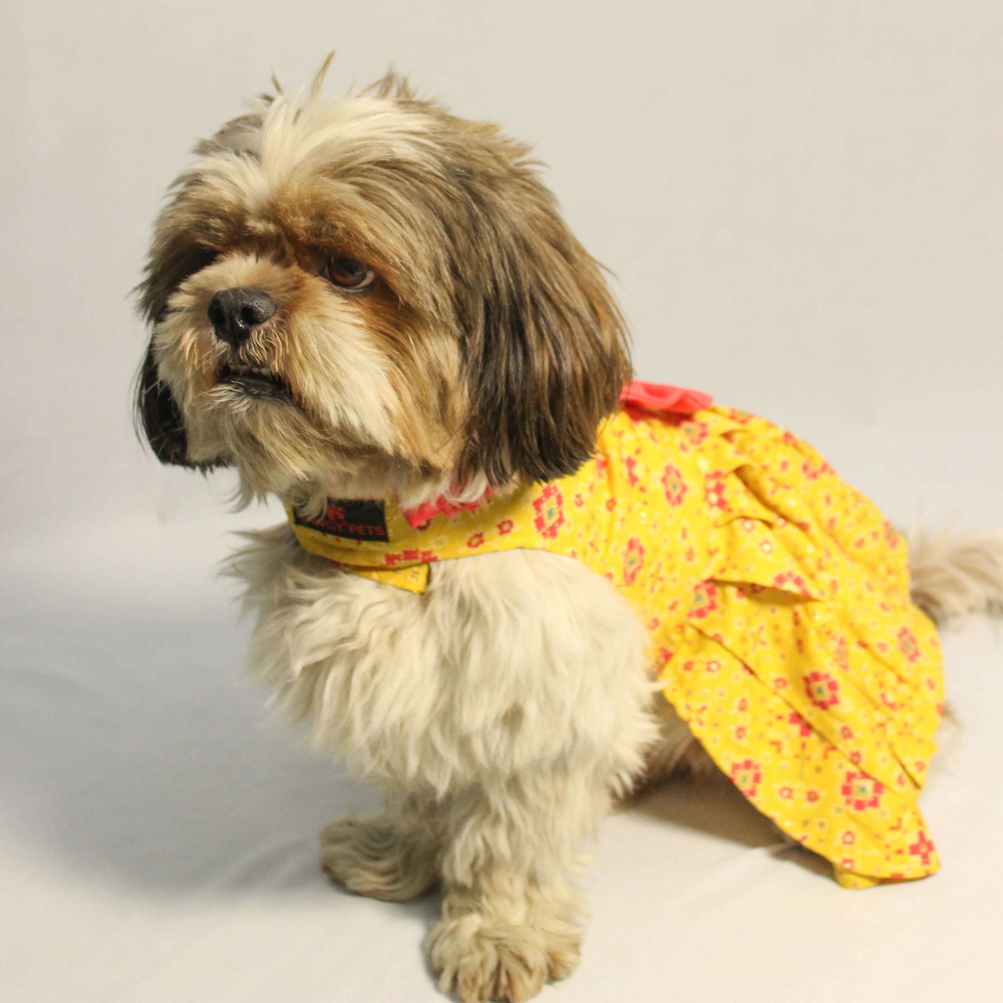 Pawgy Pets Block Print Bandani Dress Yellow for Dogs - Image 4