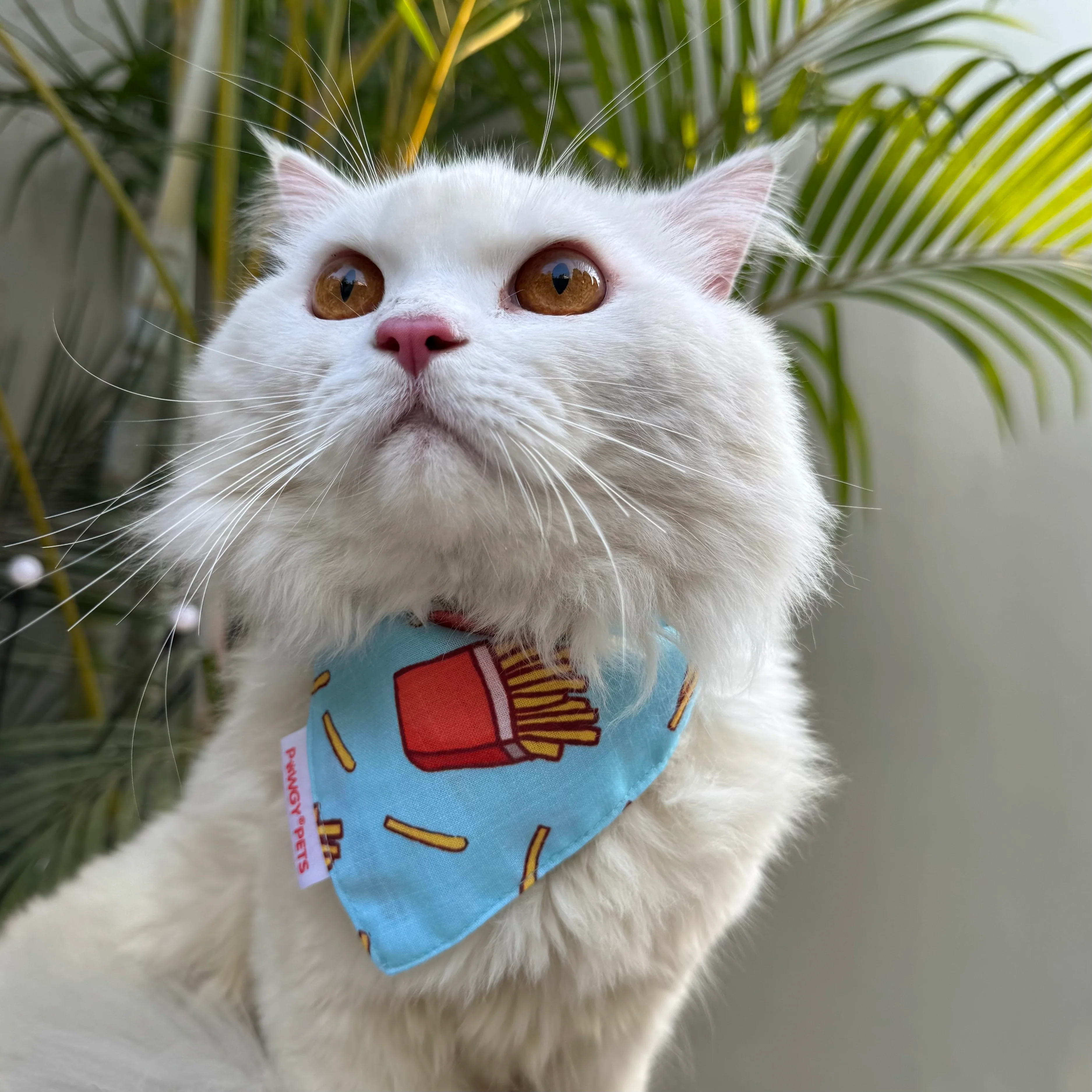 Pawgy Pets Casual Bandana: Fries for Cats and Dogs - Image 3