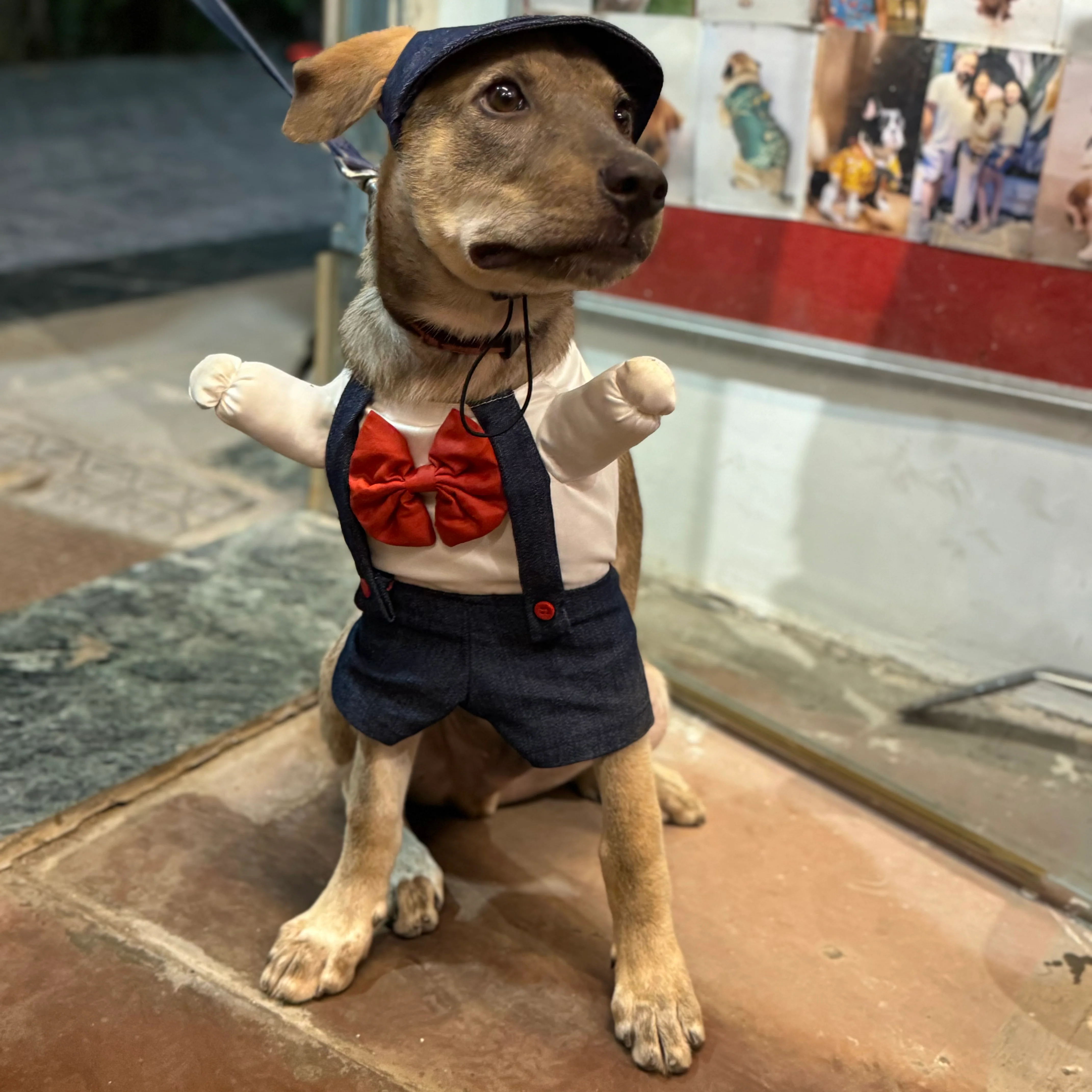 Pawgy Pets Dungaree Dog Costume - Image 3