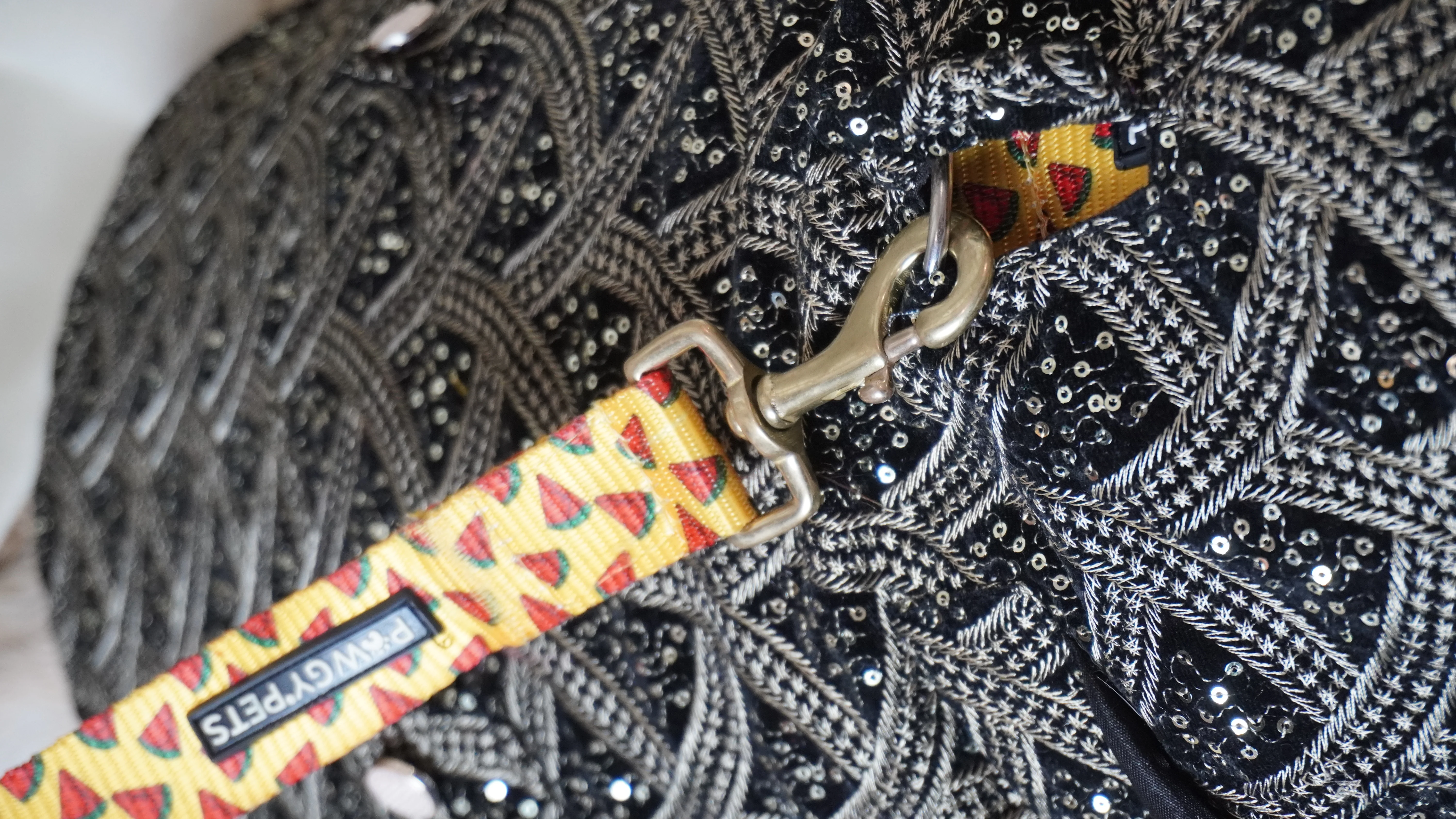 Luxe by Pawgy Pets embroidered Velvet Sherwani Black - Image 4