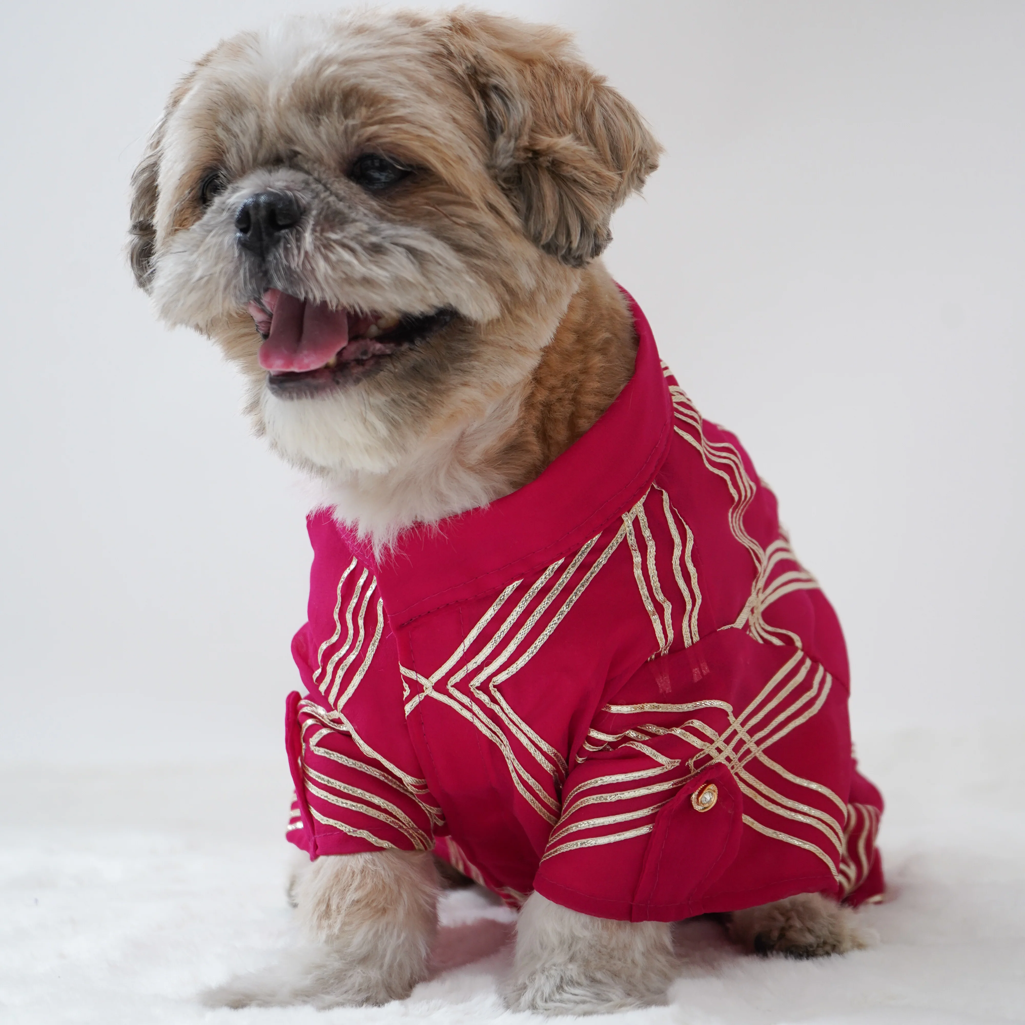 Pawgy Pets Festive Shirt Hot Pink Gota for Dogs - Image 3