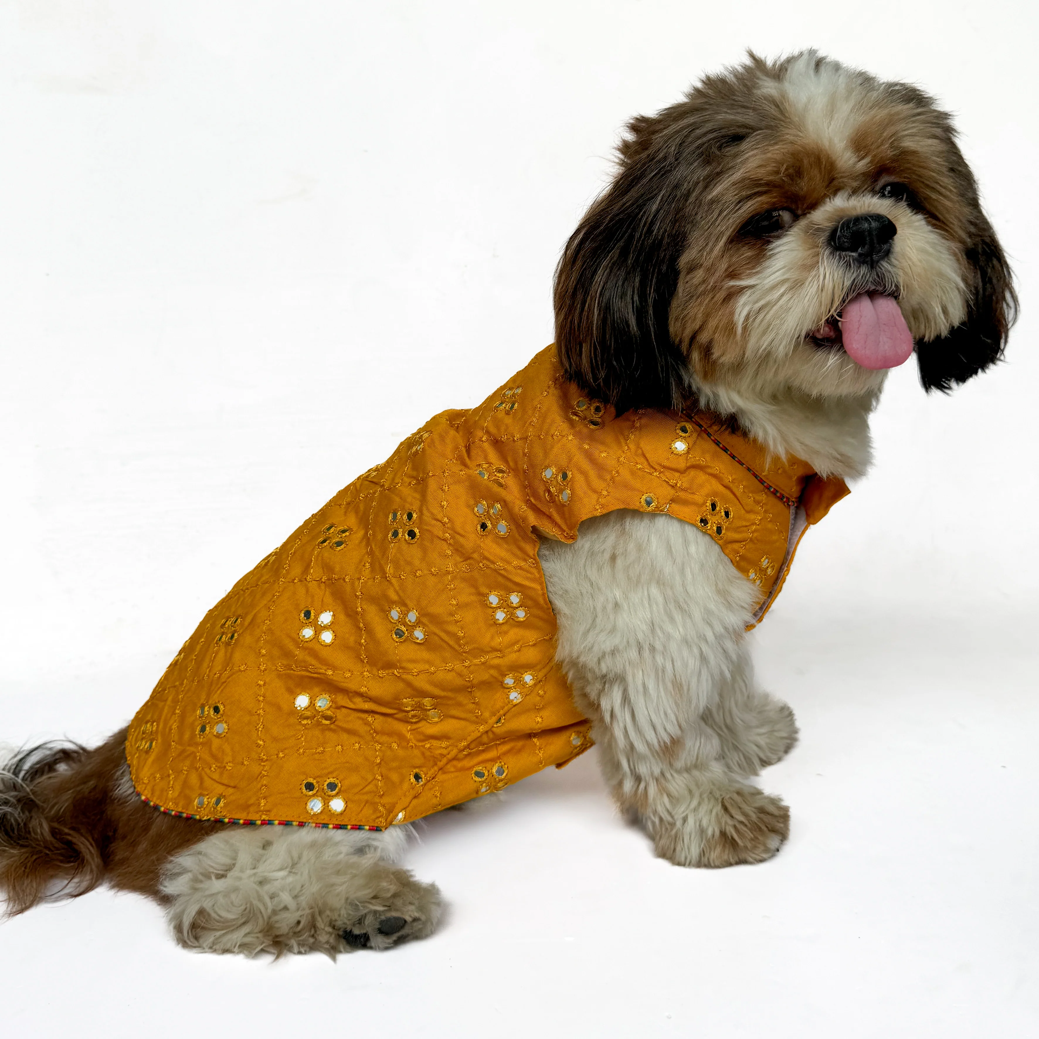 Pawgy Pets Festive Shirt Mustard Mirror Work for Dogs - Image 3