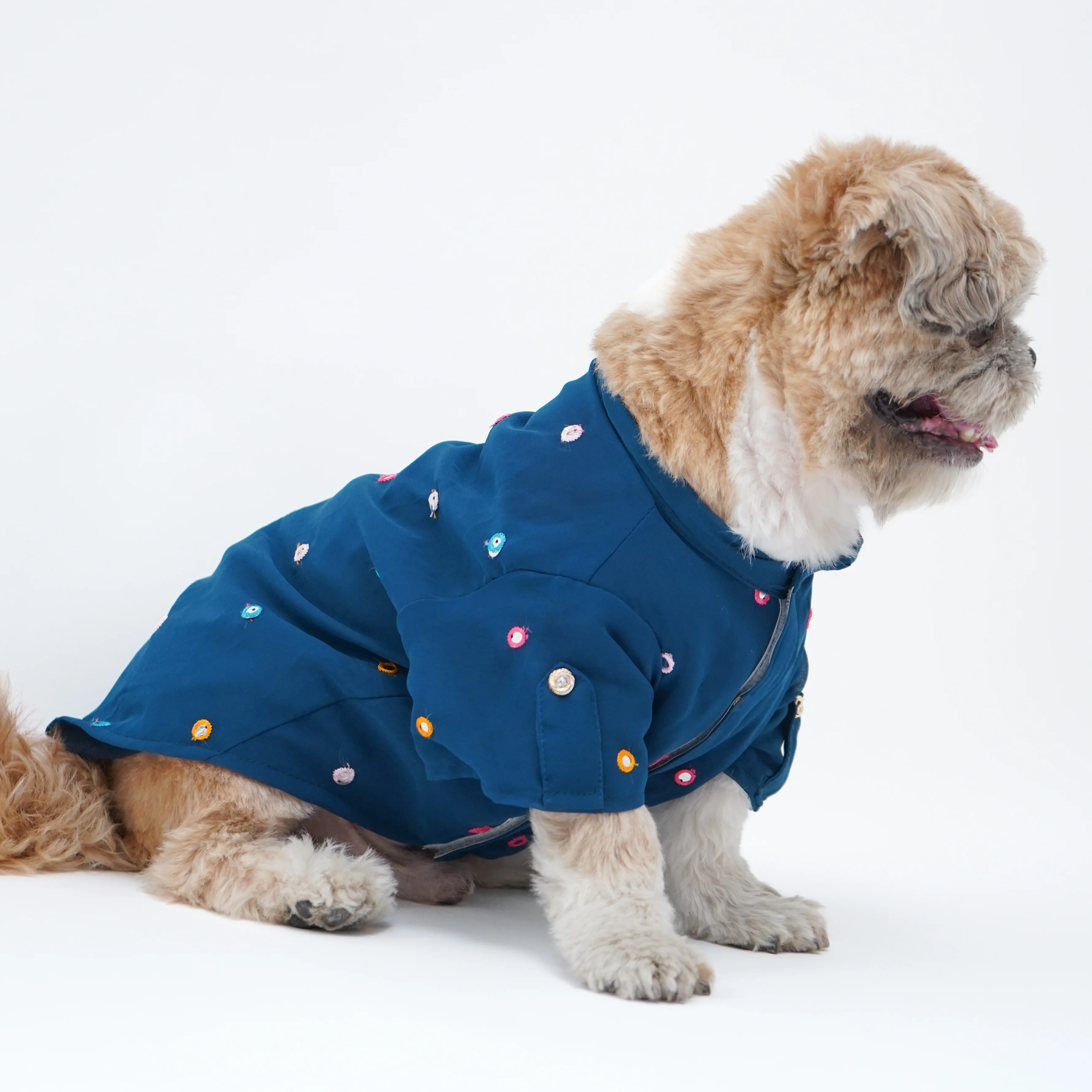 Pawgy Pets Festive Shirt Peacock blue for Dogs - Image 3