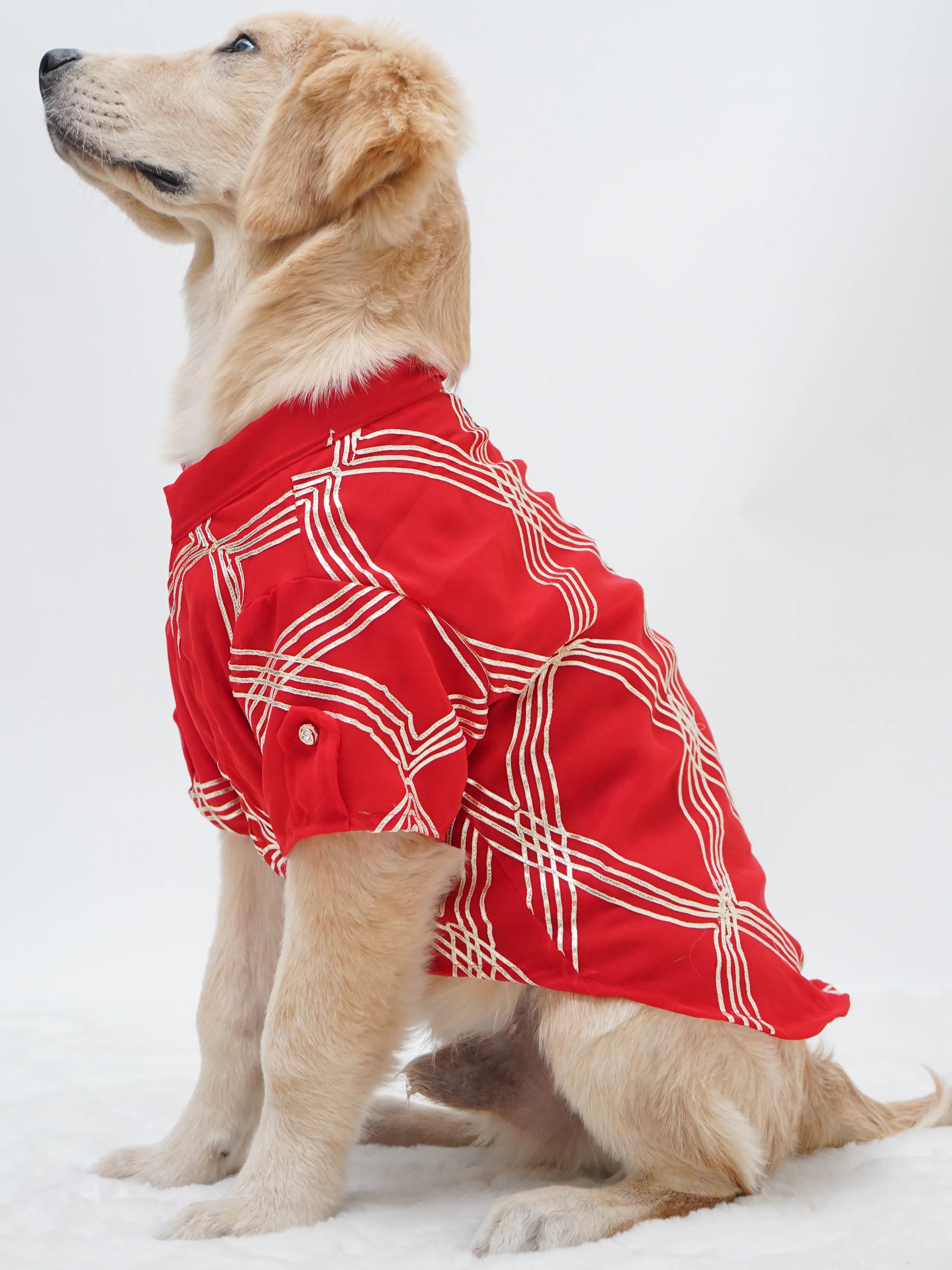Pawgy Pets Festive Shirt Red Gota for Dogs - Image 4
