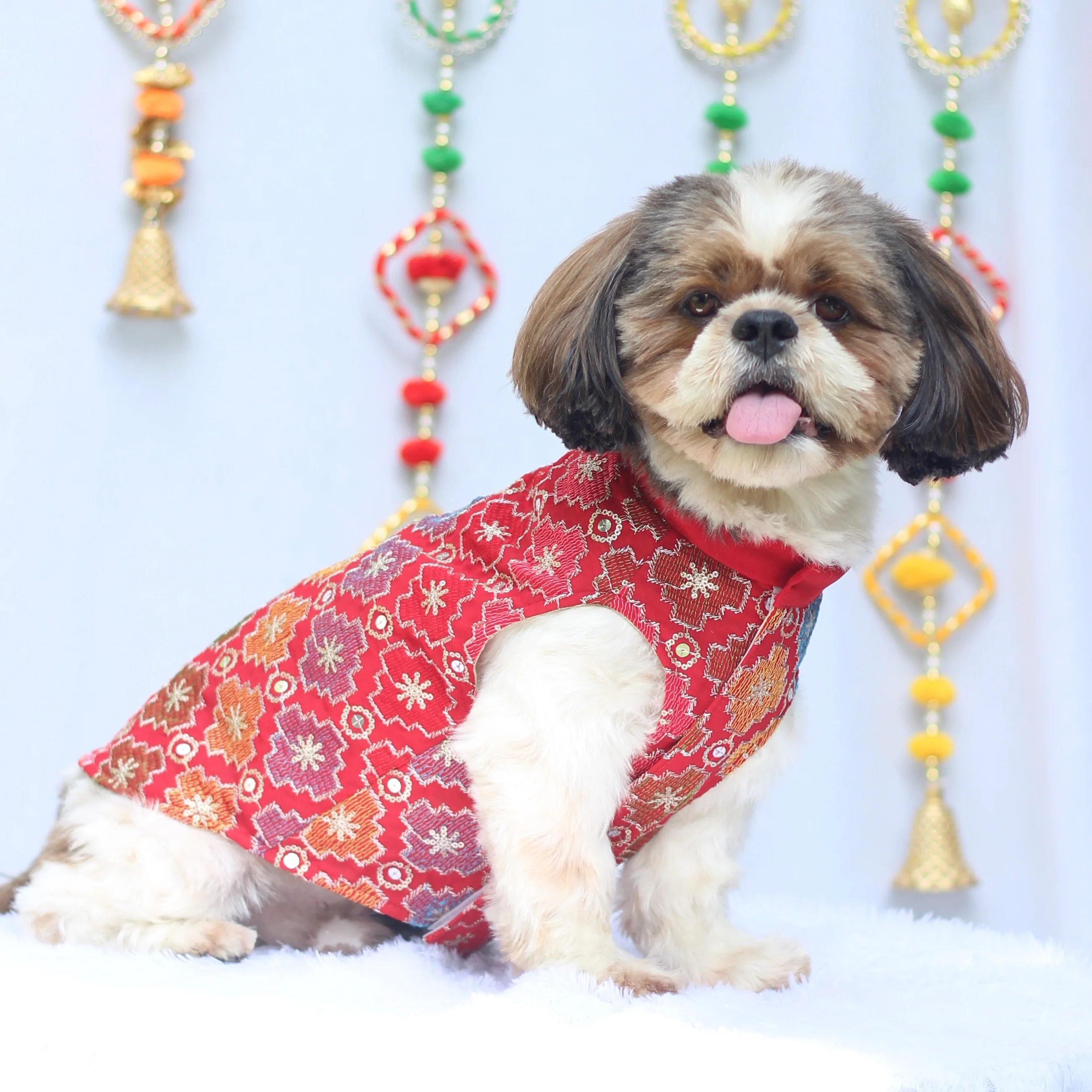 Pawgy Pets Festive Kurta Patola for Dogs - Image 4