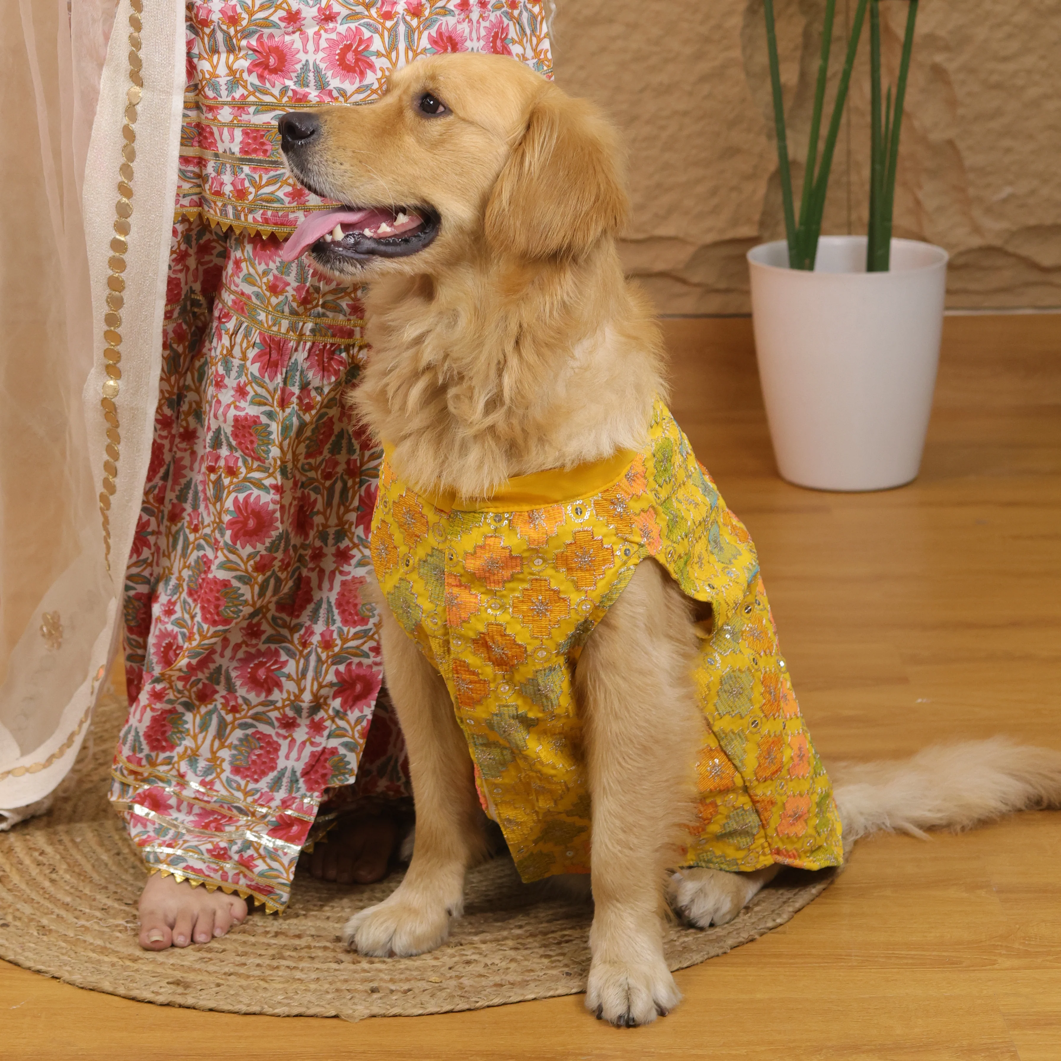 Pawgy Pets Festive Kurta Patola for Dogs - Image 8