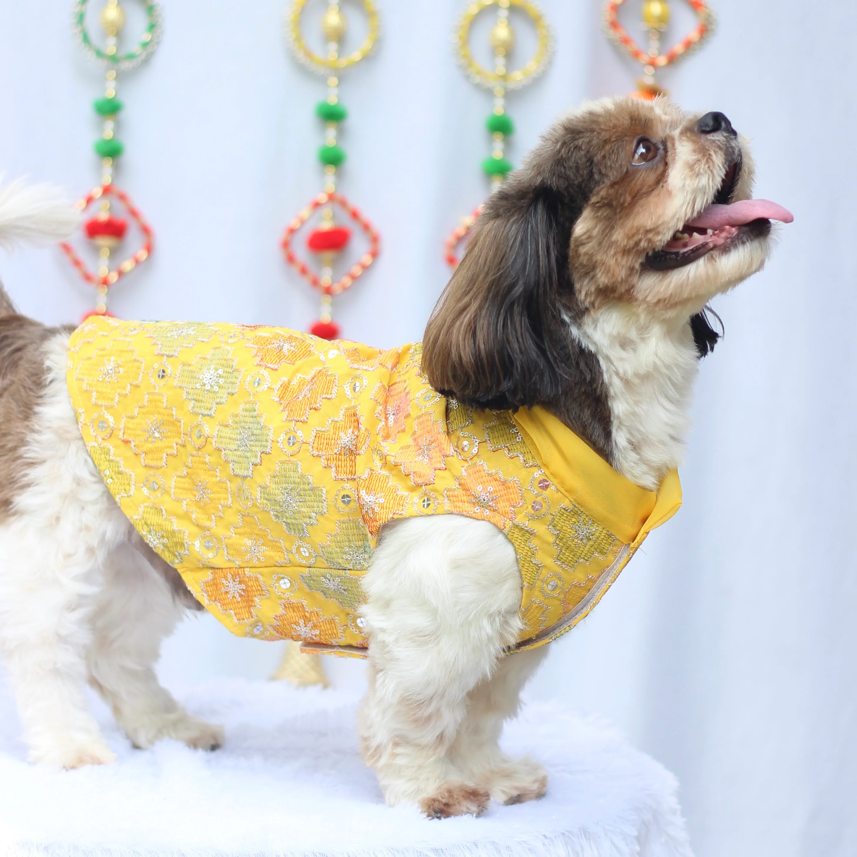 Pawgy Pets Festive Kurta Patola for Dogs - Image 5