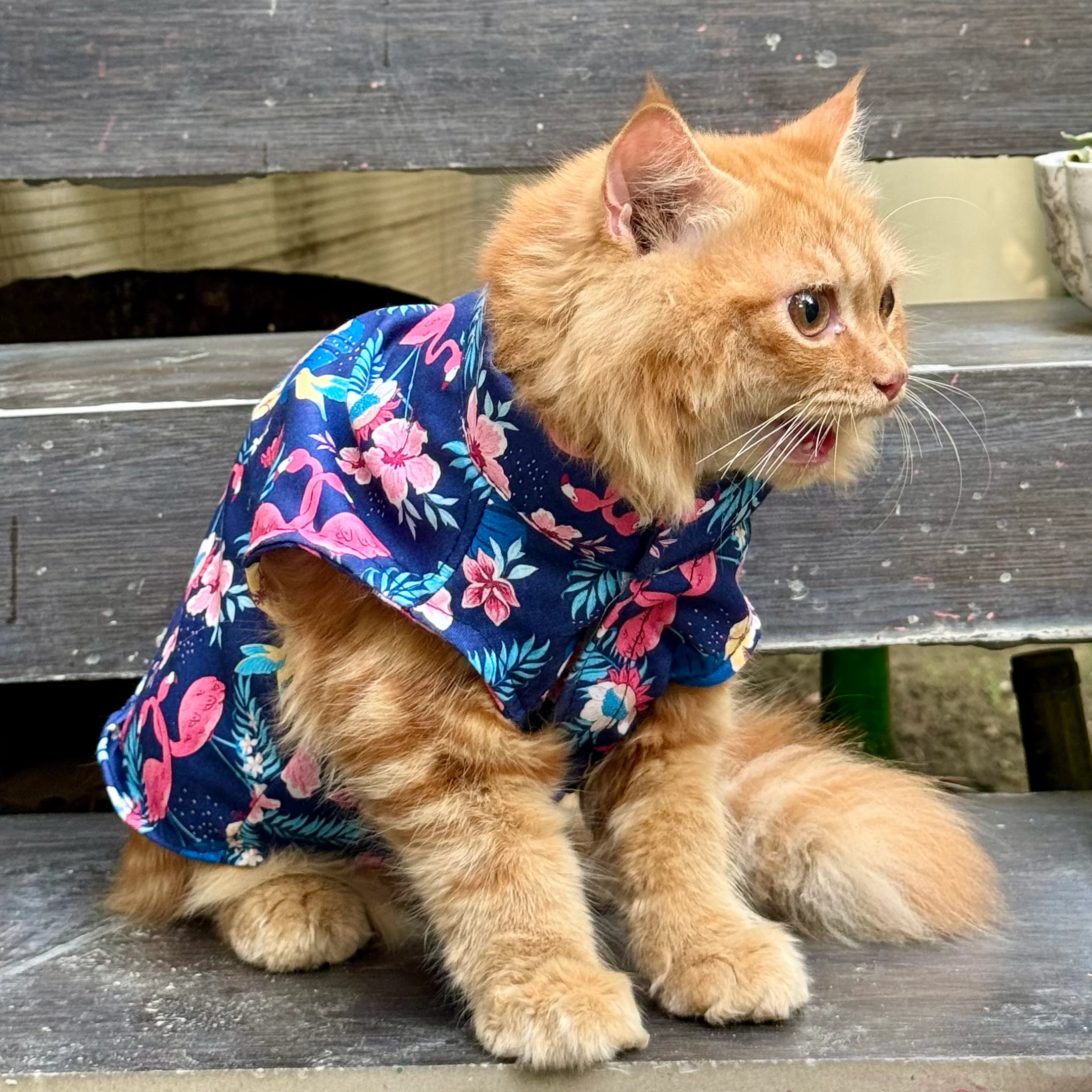 Pawgy Pets Flamingo Sando (Cat) - Image 3