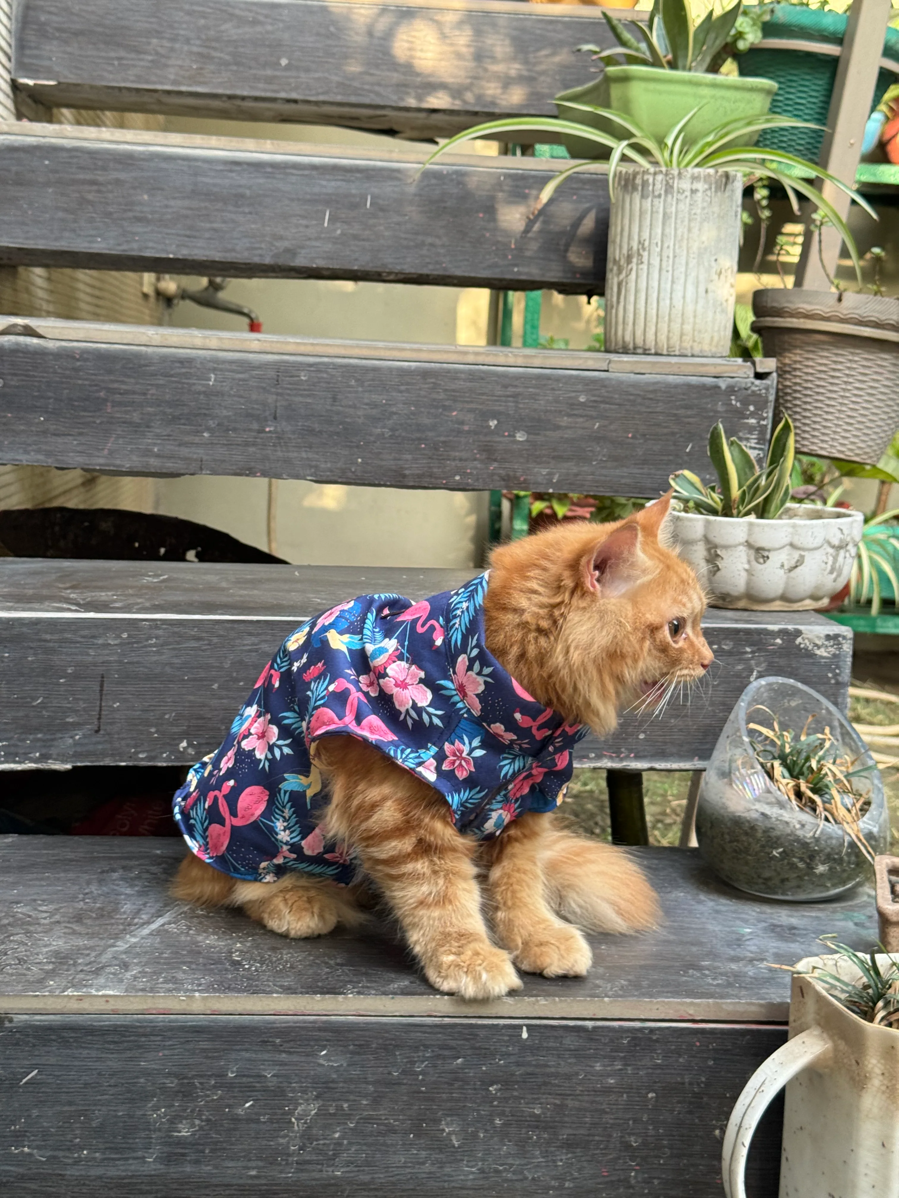 Pawgy Pets Flamingo Sando (Cat) - Image 4