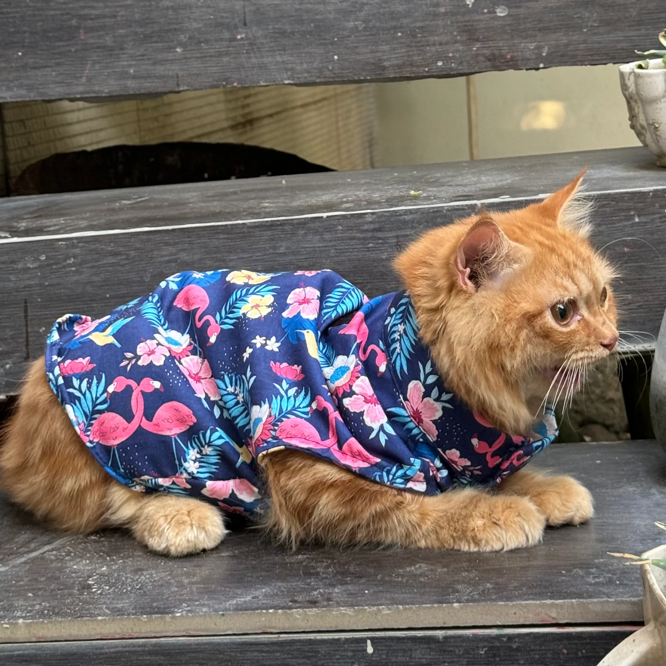 Pawgy Pets Flamingo Sando (Cat) - Image 5