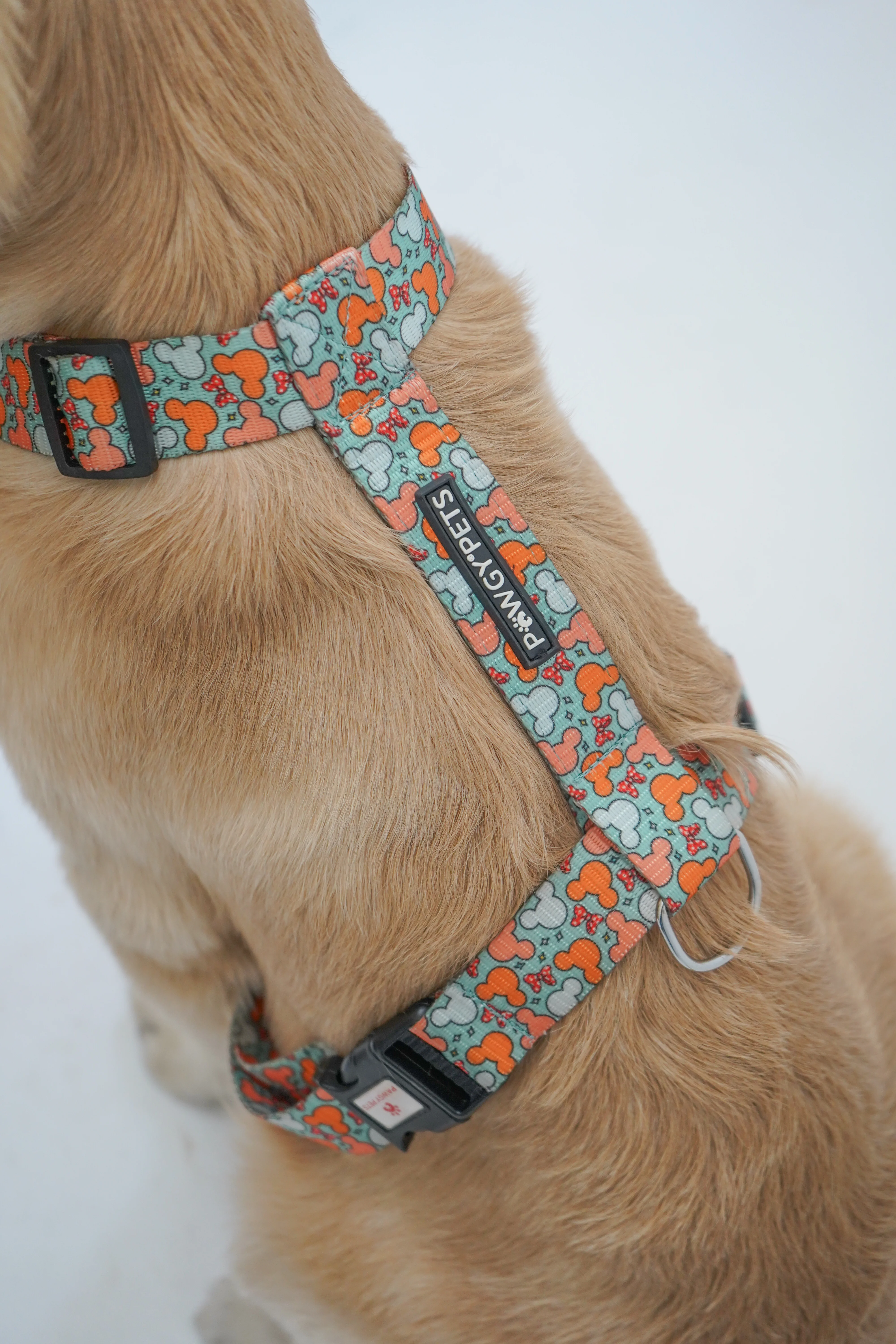 Pawgy Pets H-Harness Mickey Pastel Green for Dogs and Cats - Image 3