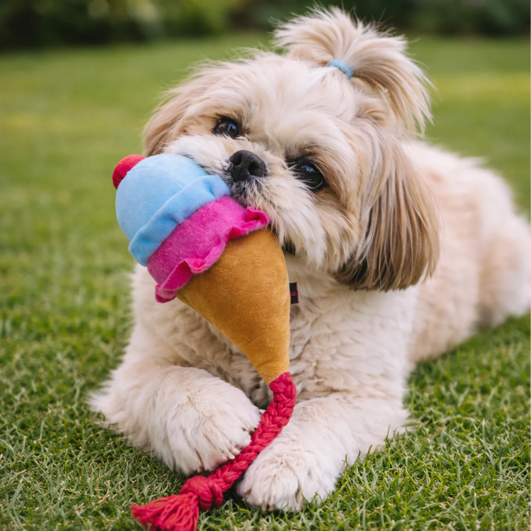 Pawgy Pets Ice Cream Doggo Plush + Rope Toy - Image 4
