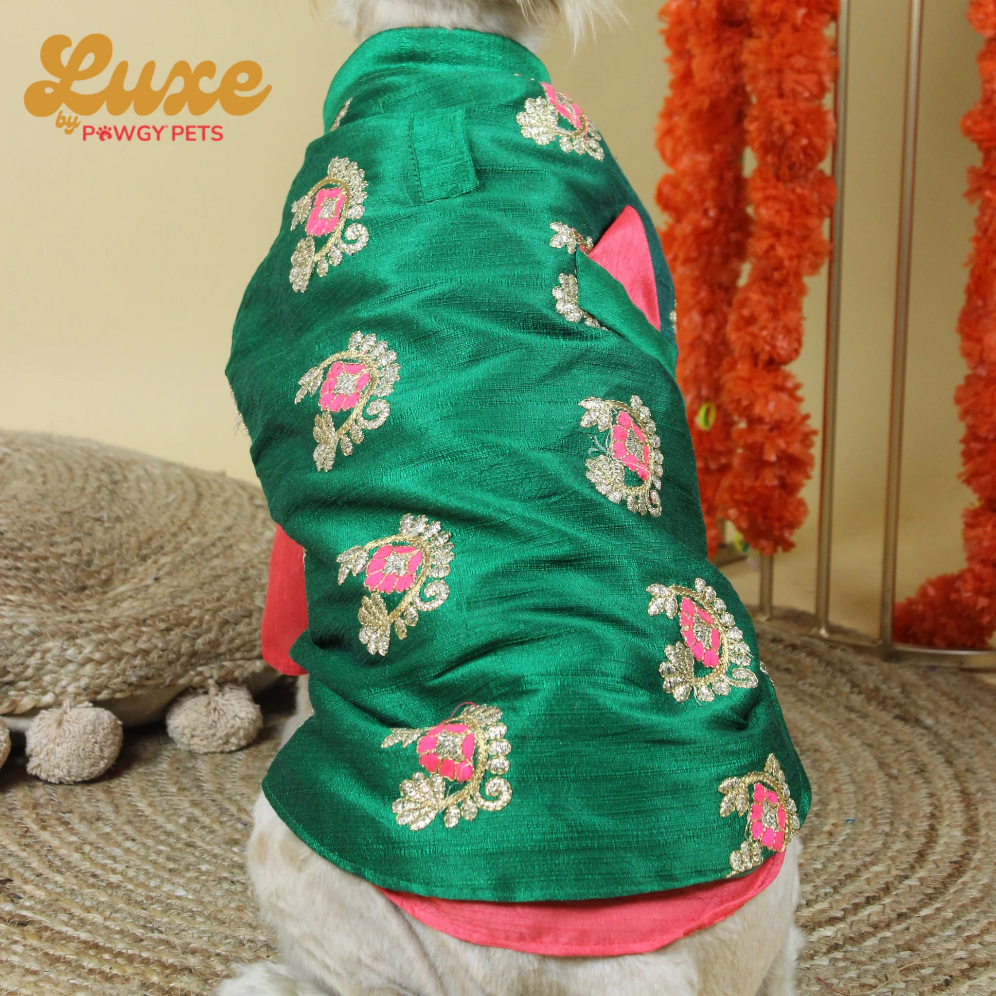 Luxe by Pawgy Pets Kurta & Hand-embroidered Nehru Jacket Bottle Green - Image 3
