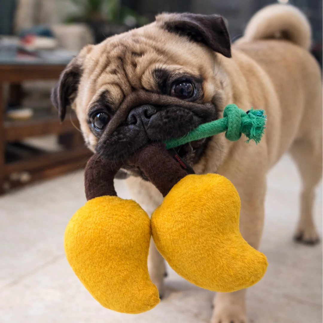Pawgy Pets Mango Doggo Plush + Rope Toy - Image 5