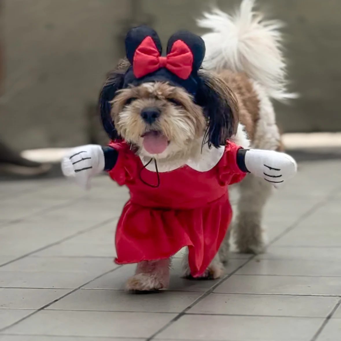 Pawgy Pets Minnie Mouse Dog Costume - Image 3