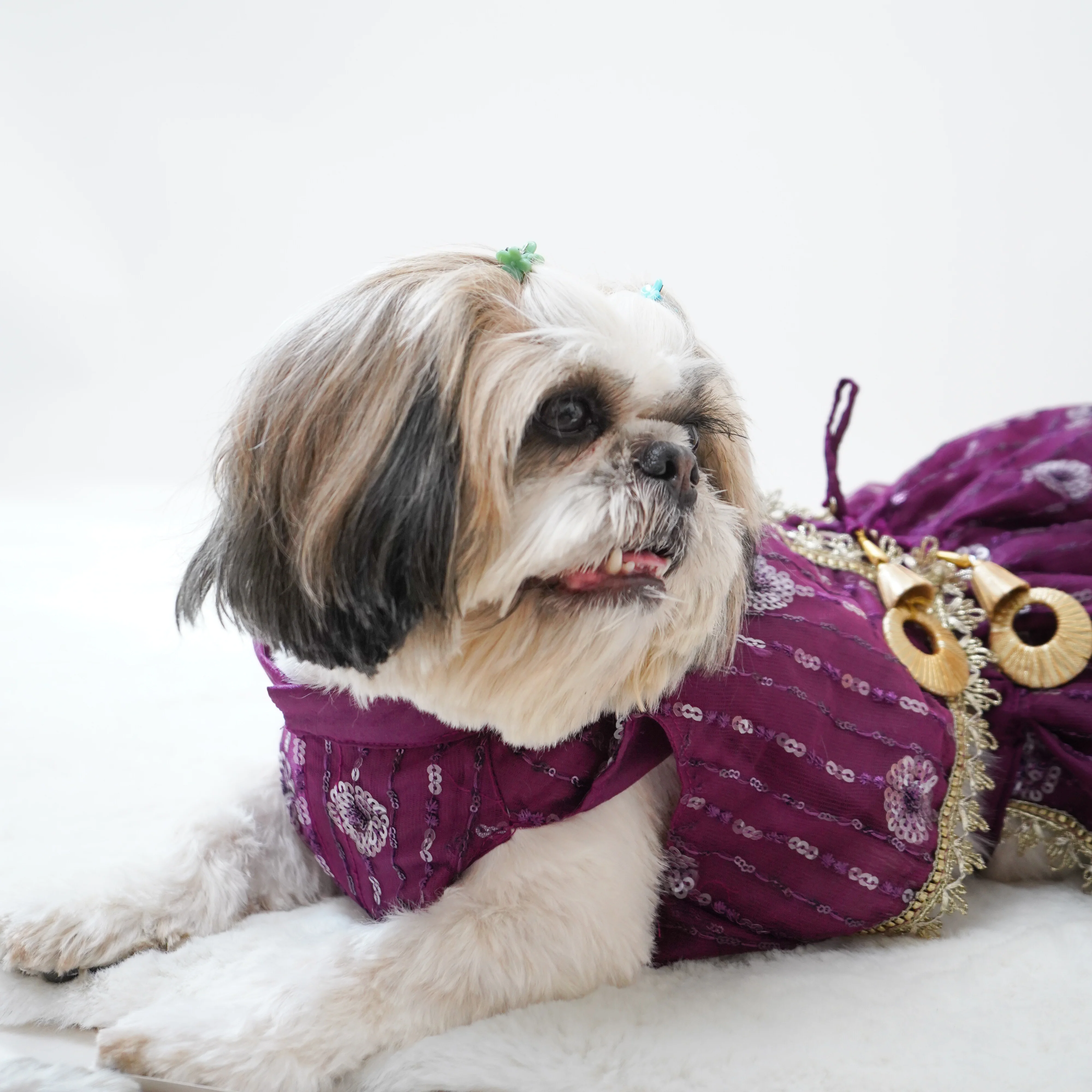 Pawgy Pets Net Lehenga Violet for Dogs & Cats - Image 5