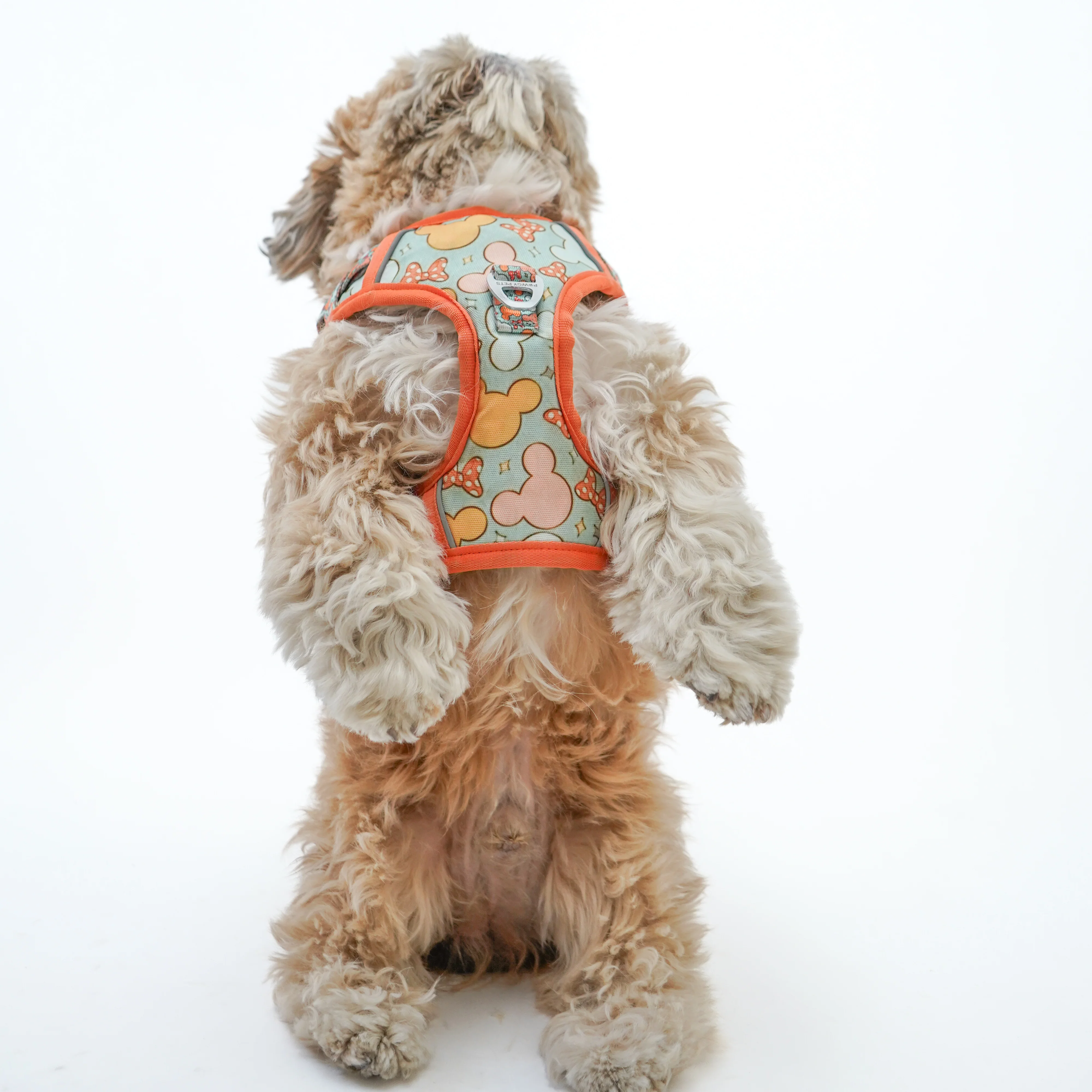 Pawgy Pets Padded Harness Mickey - Image 4