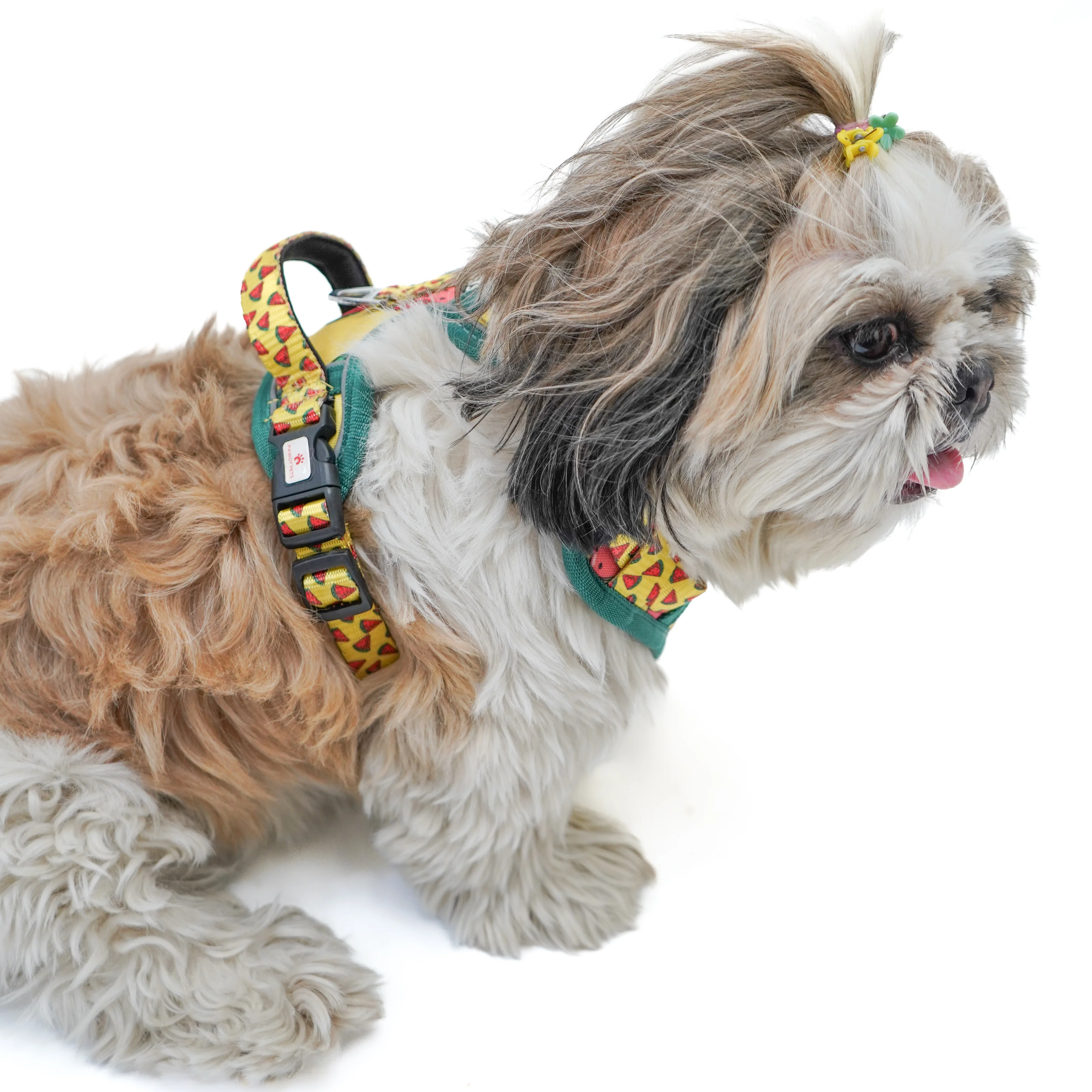 Pawgy Pets Padded Harness Watermelon - Image 3