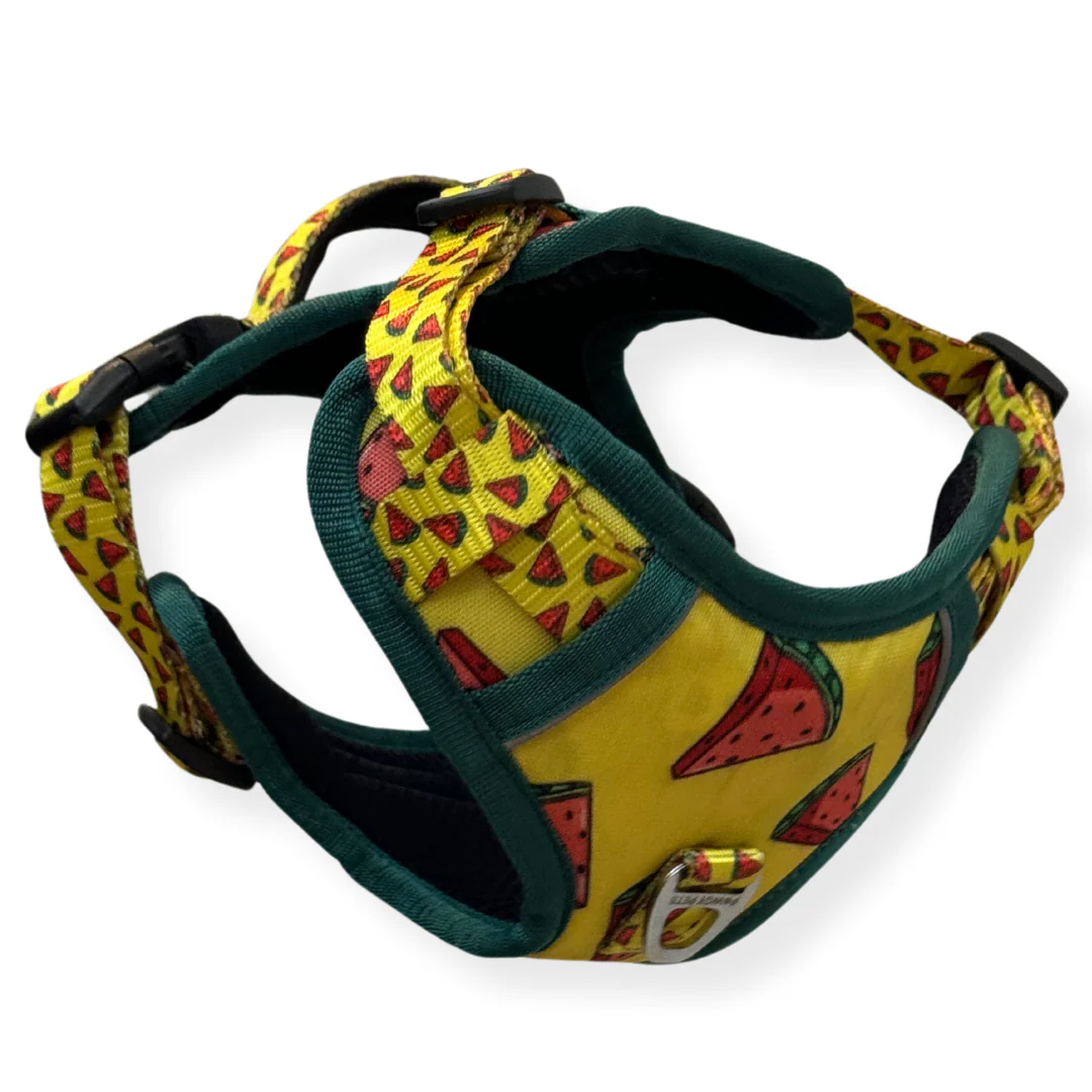 Pawgy Pets Padded Harness Watermelon - Image 4