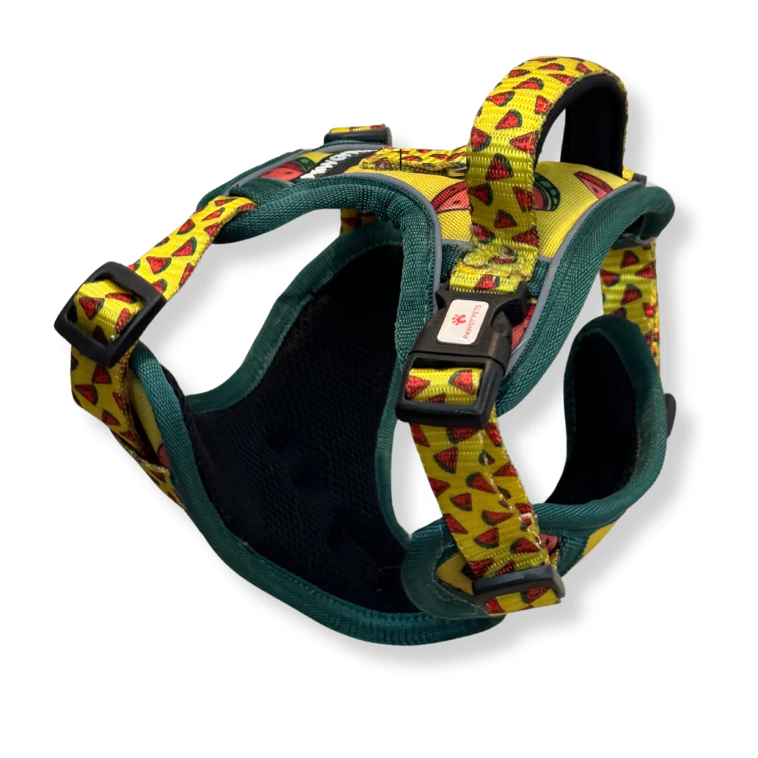 Pawgy Pets Padded Harness Watermelon - Image 5