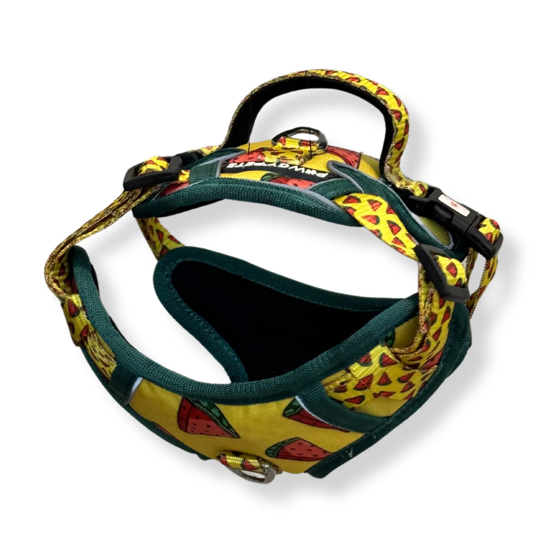Pawgy Pets Padded Harness Watermelon - Image 6