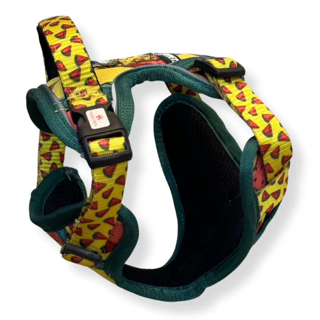 Pawgy Pets Padded Harness Watermelon - Image 7