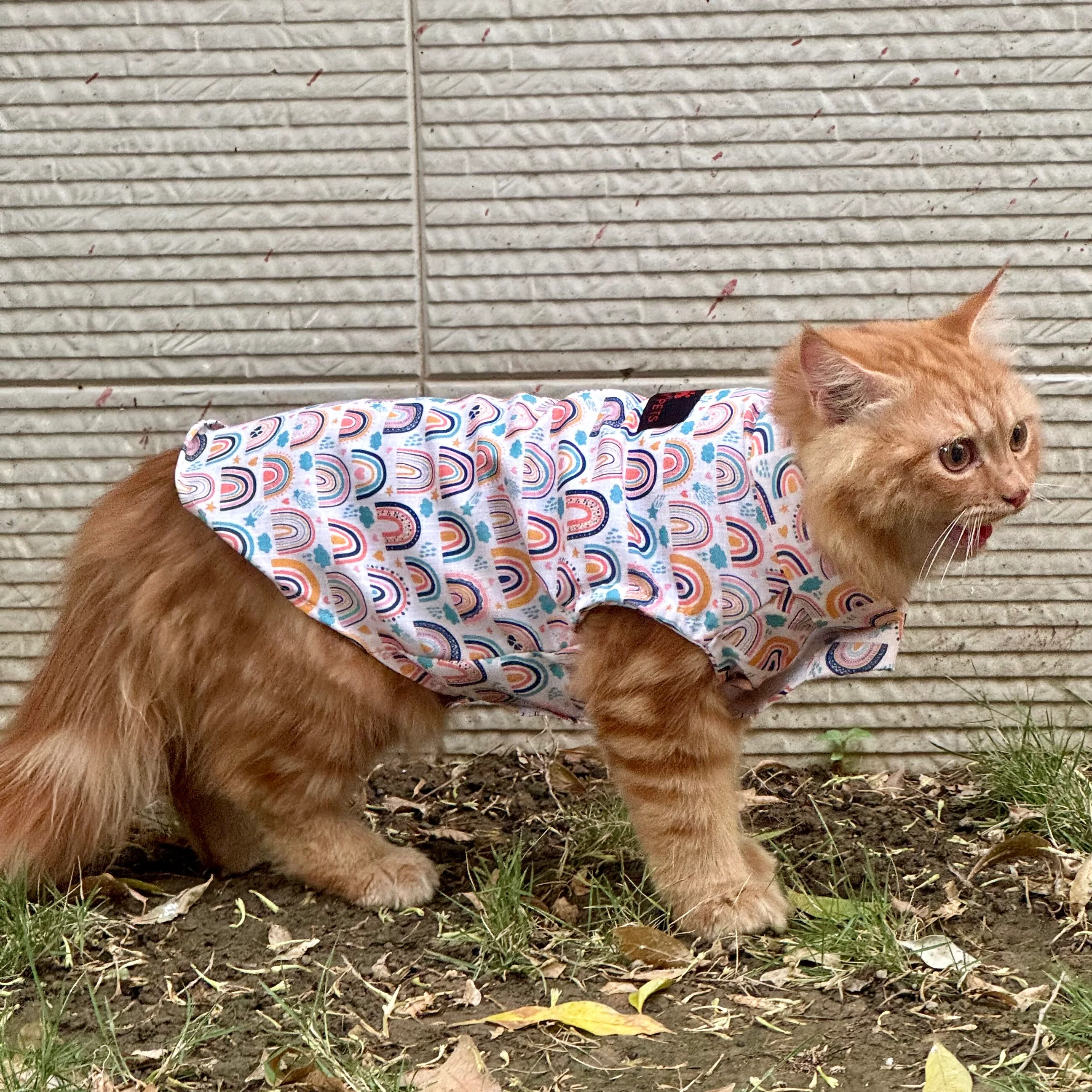 Pawgy Pets Rainbow Sando (Cat) - Image 3