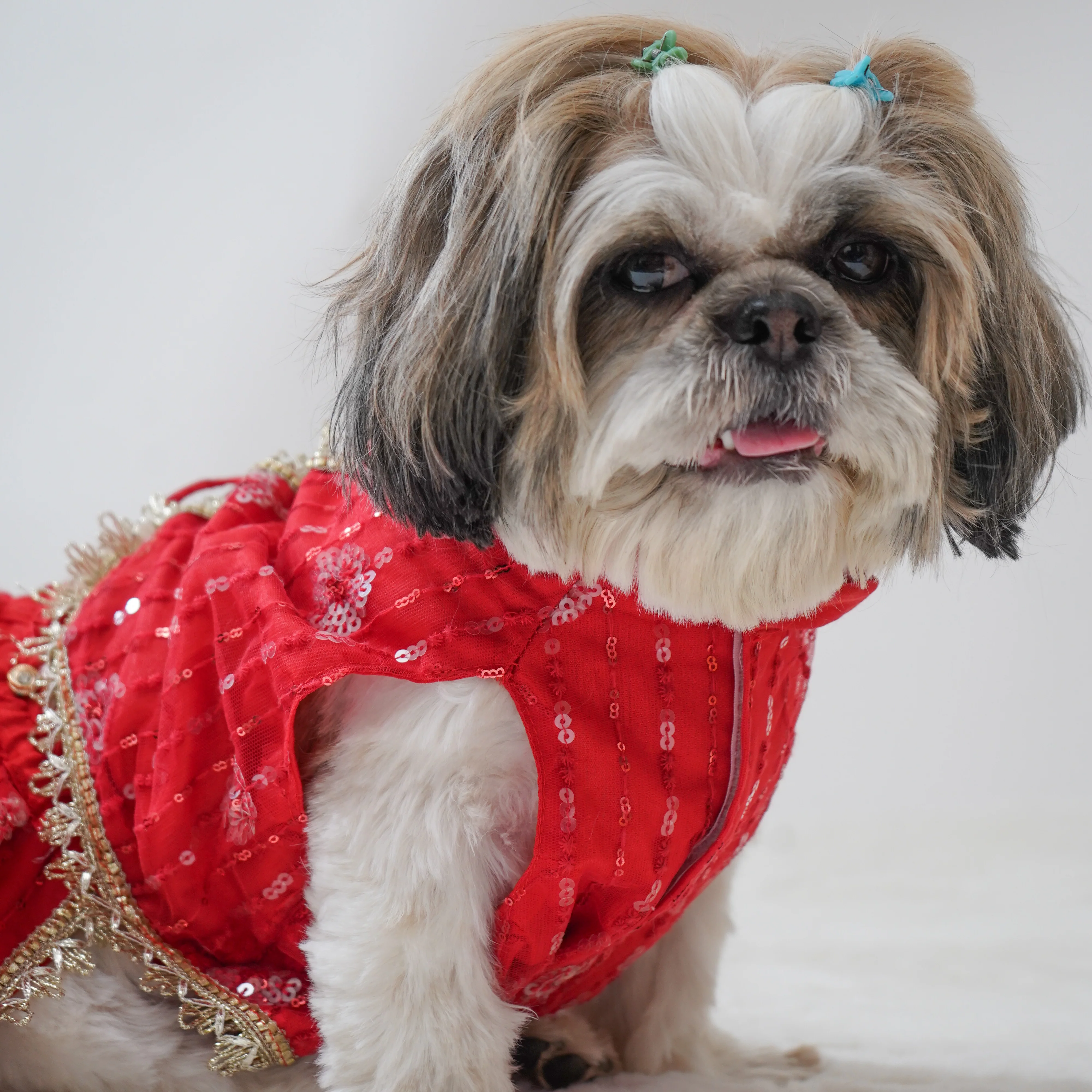 Pawgy Pets Red Net Lehenga for Dogs & Cats - Image 4